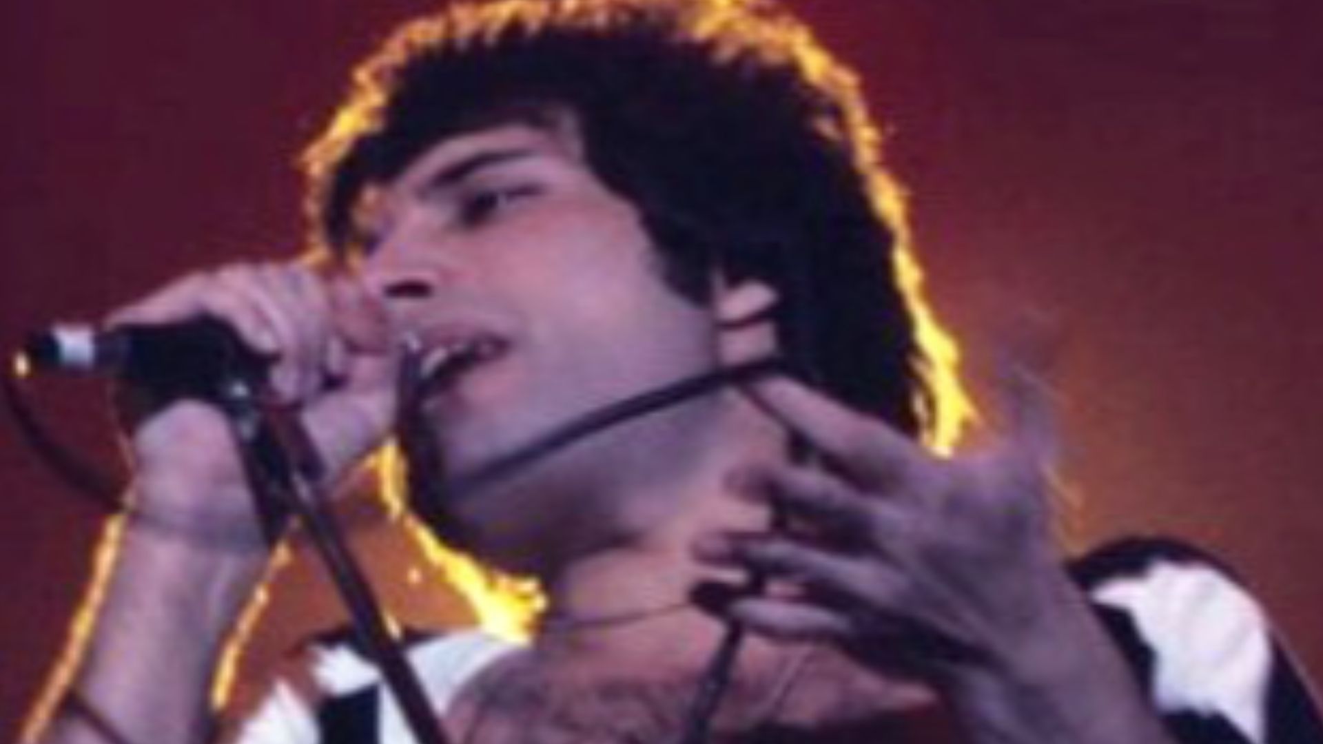 File:FreddieMercuryNov1977.jpg