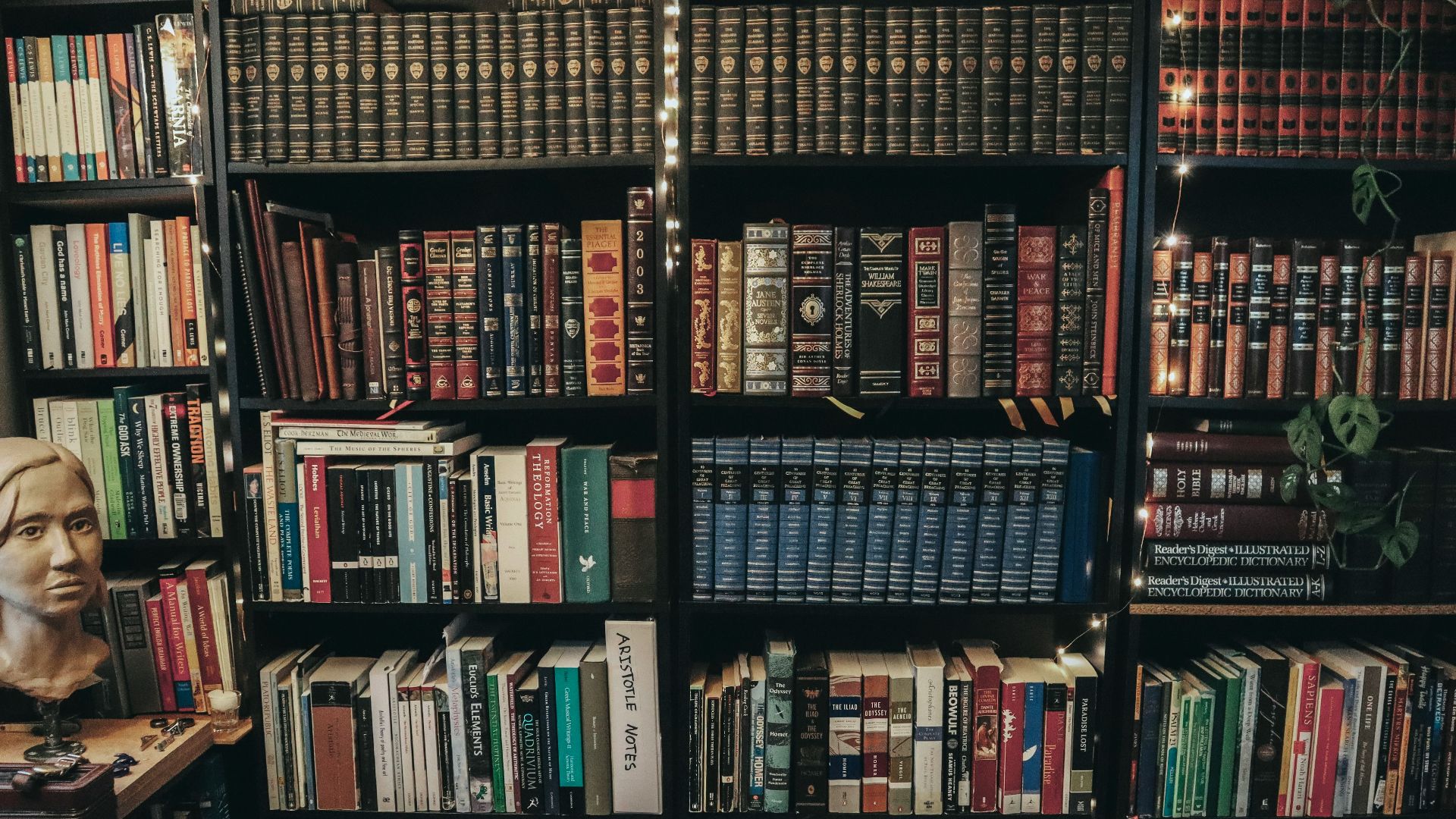 Tall bookshelves filled with many books
