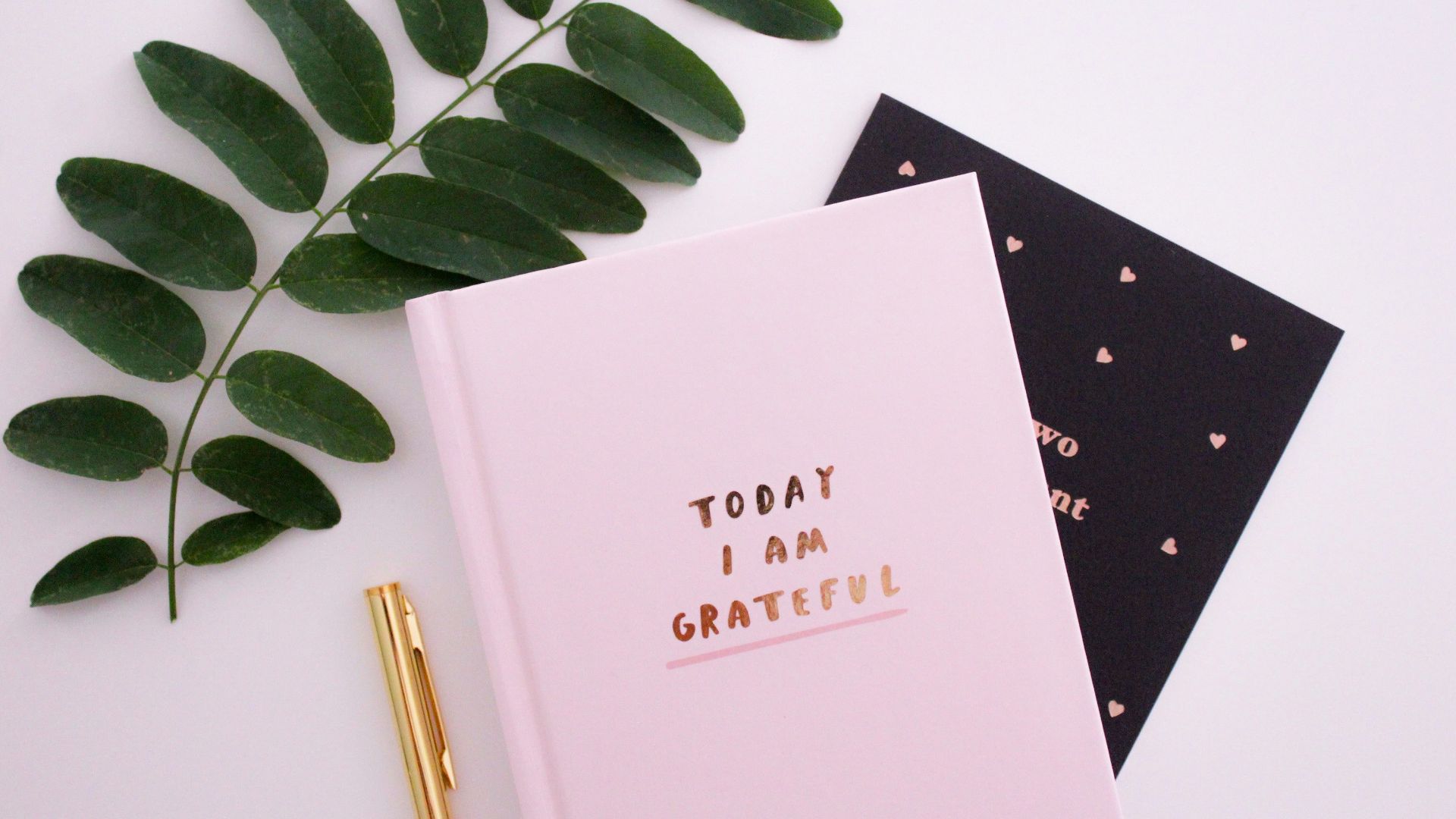 Today I am Grateful book