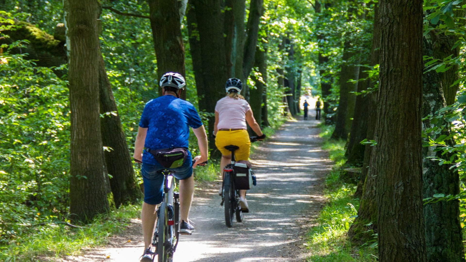 people riding bicycle on road between green trees during daytime