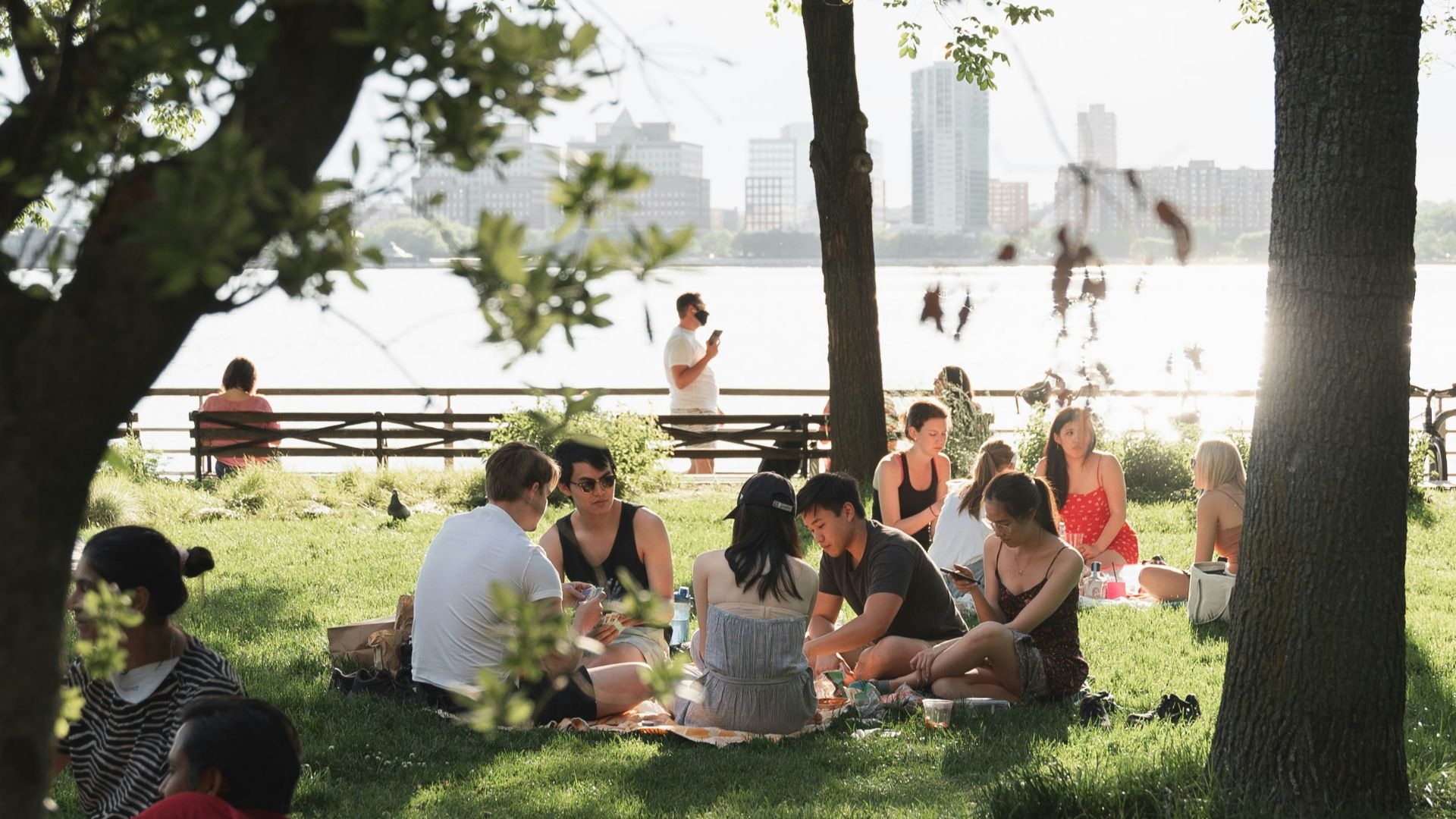 people sitting on green grass field near green trees during daytime