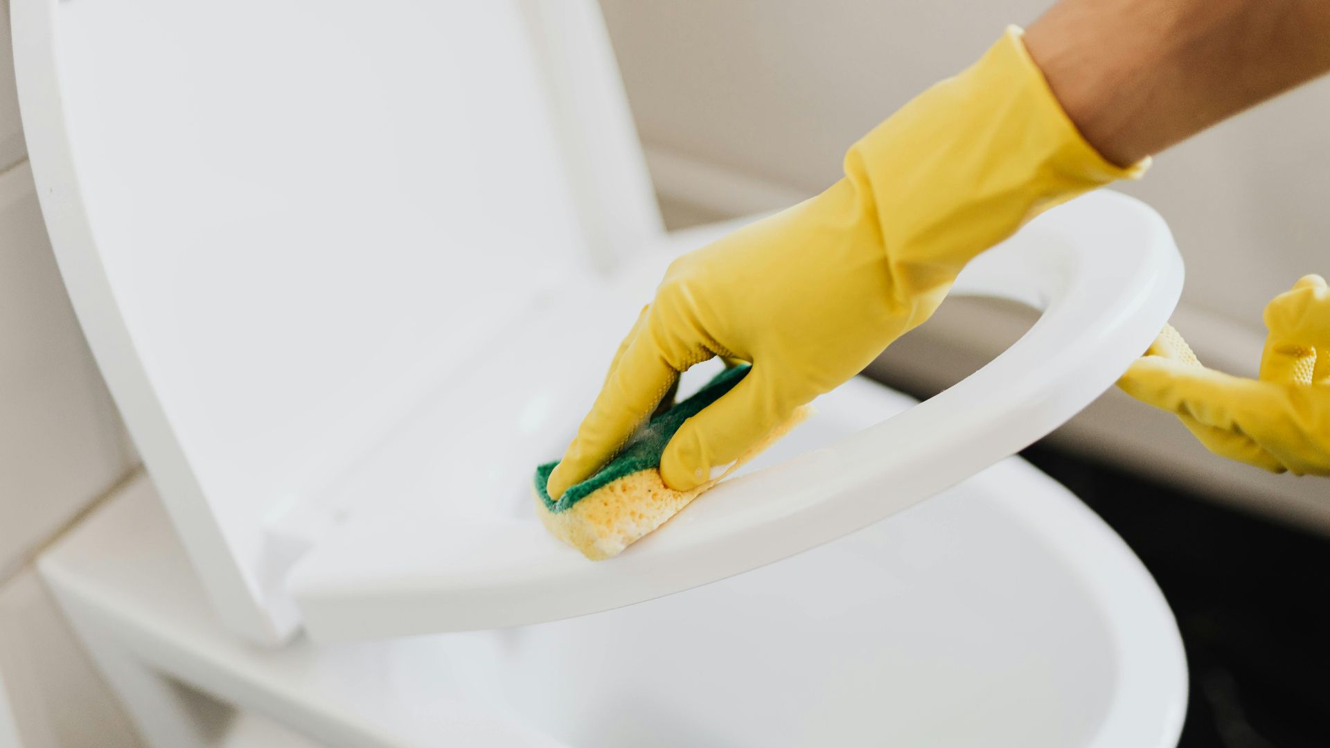 Photo By: Kaboompics.com