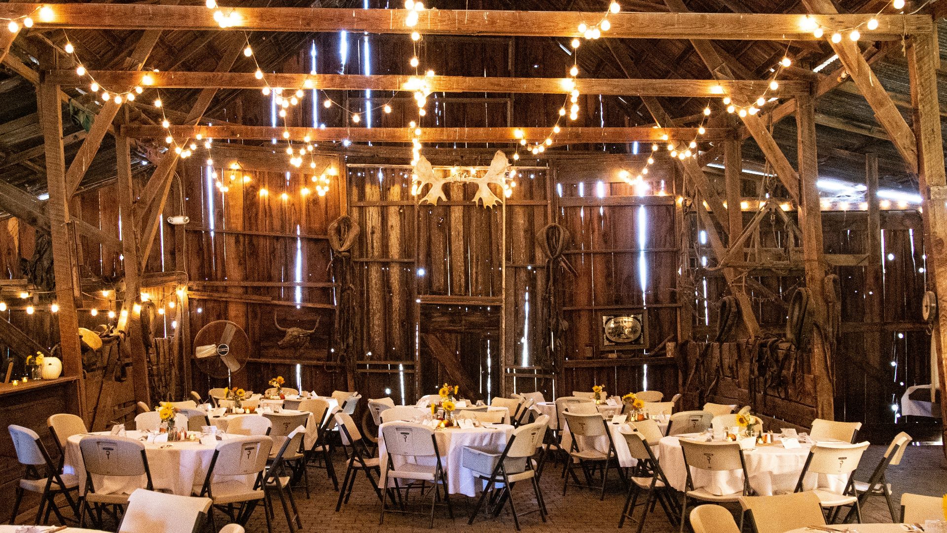 dining table and chairs set