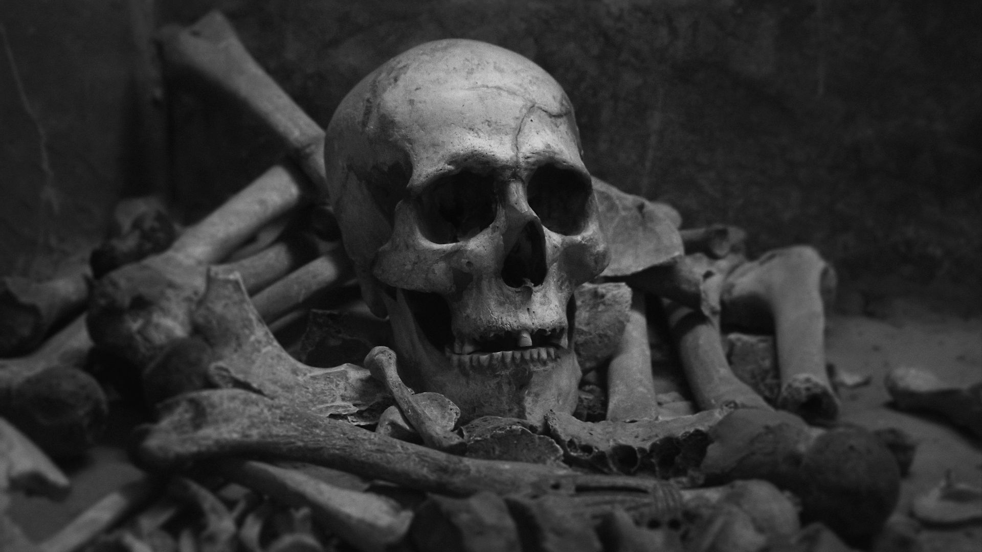 grayscale photo of skull on wooden surface