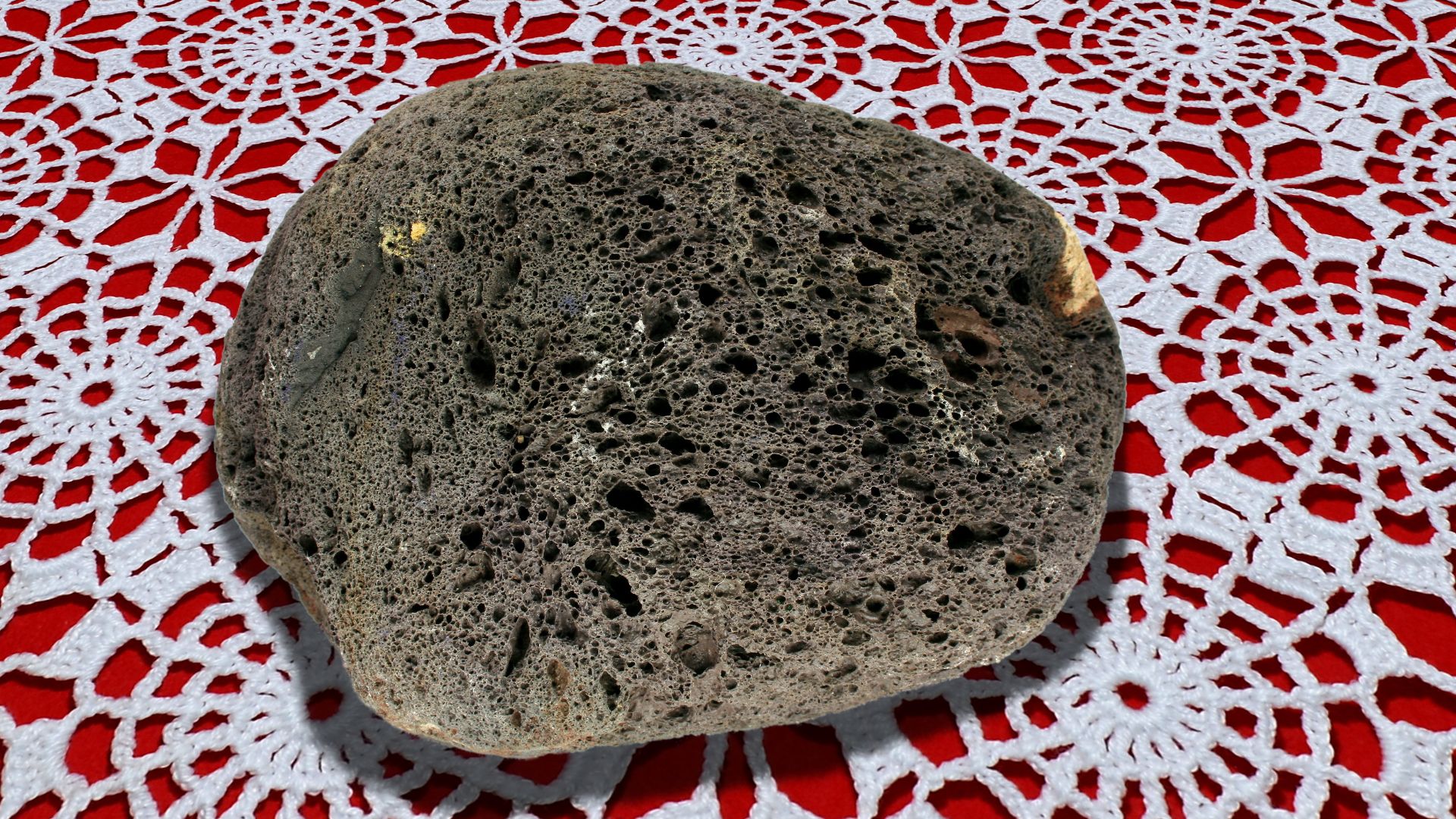 File:Pet Rock-2003.jpg