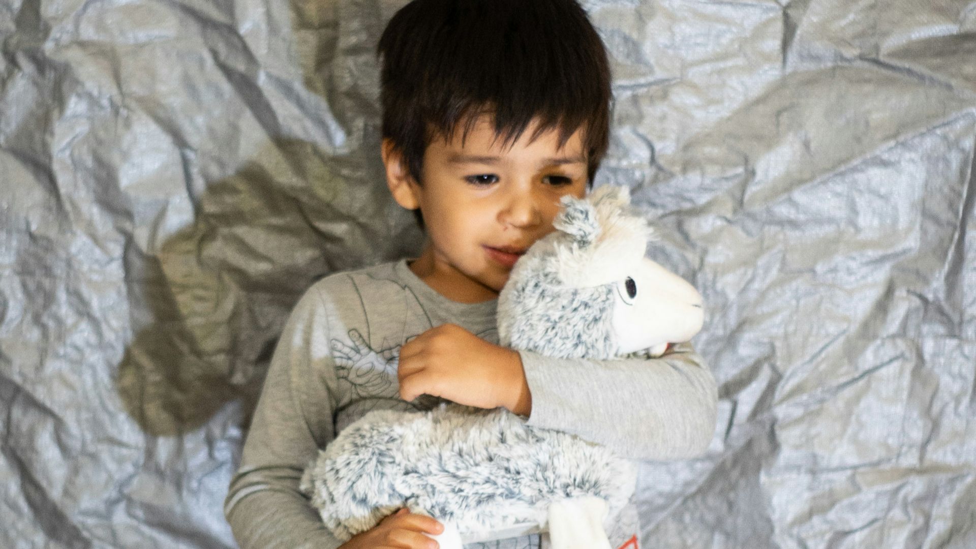 a child holding a stuffed animal