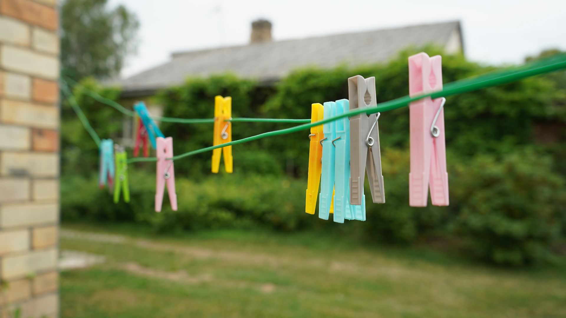 clothes hanged on clothes hanger