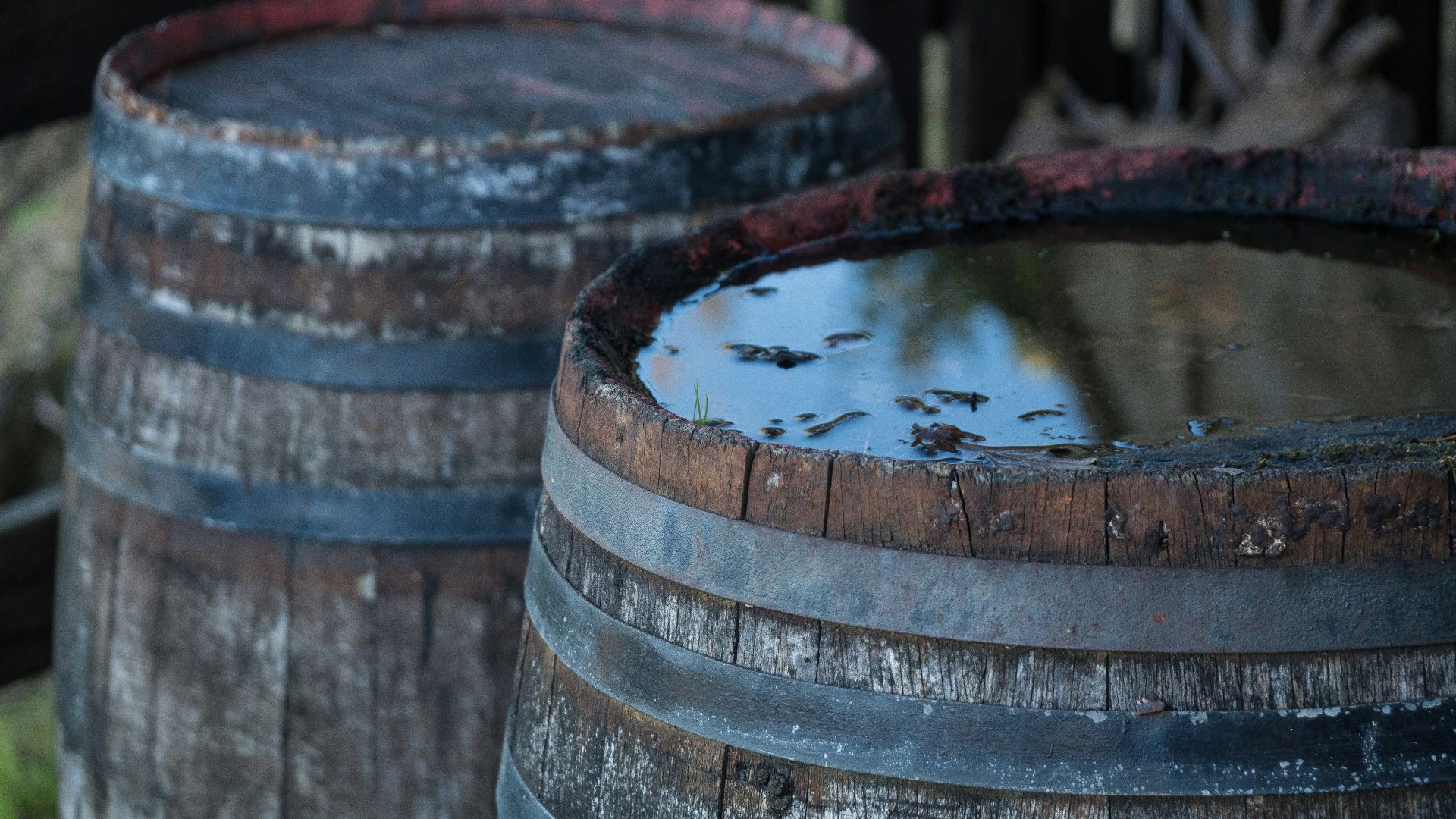 brown wooden barrels
