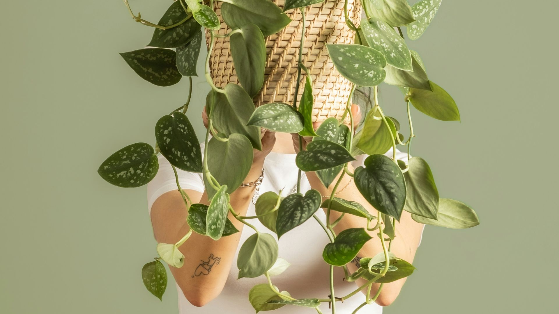 Person holding a basket of plants in front of their face.