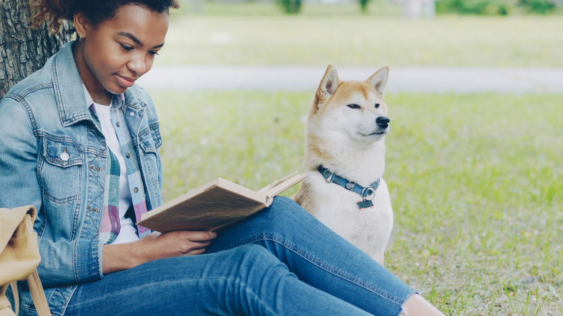 Woman reads a book with her dog in the park.