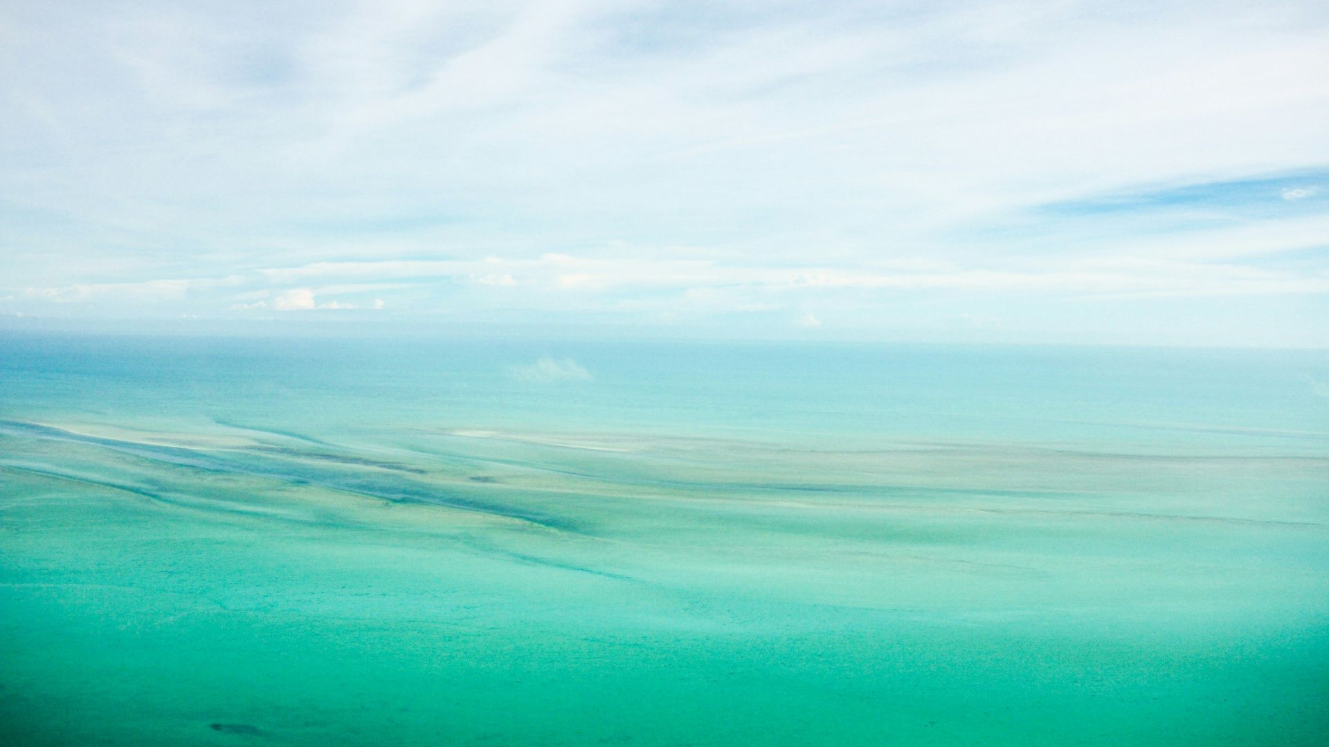 selective focus photography of white sky