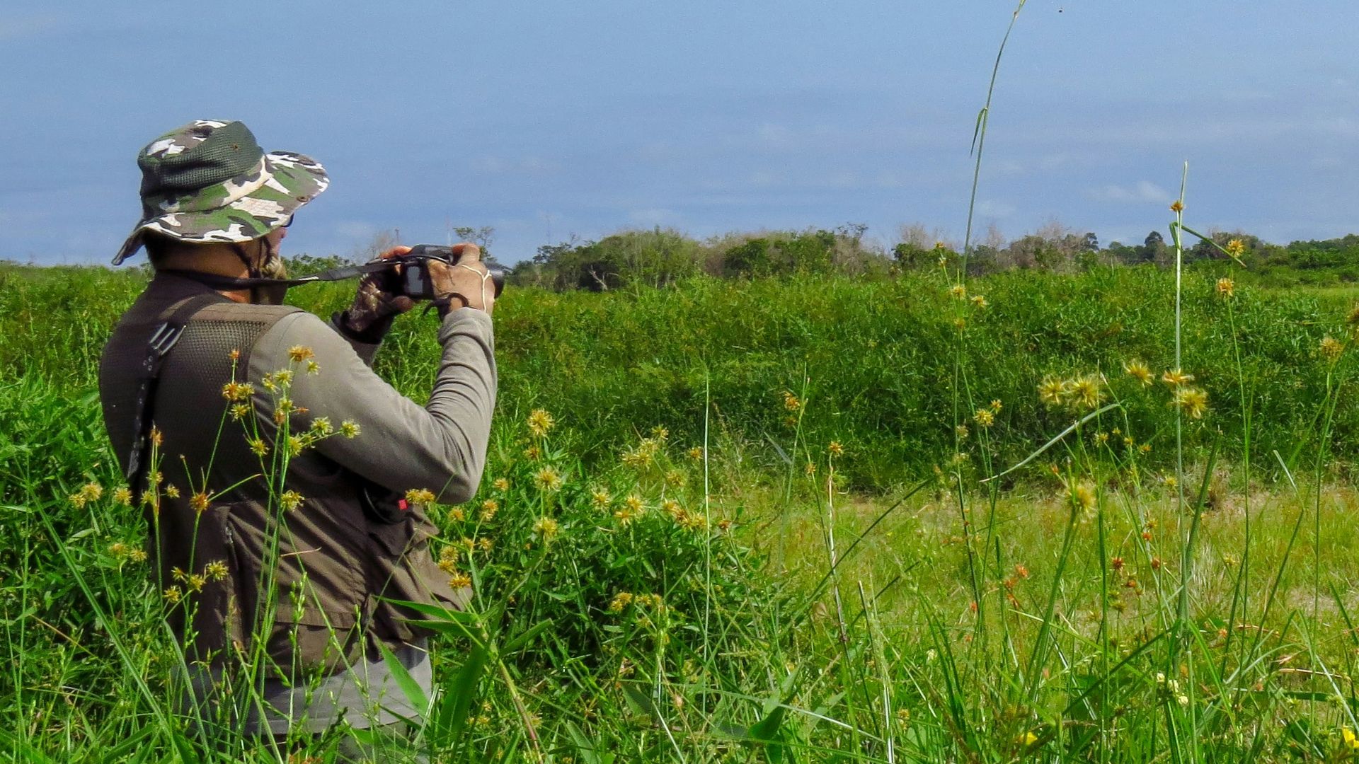 man and woman kissing on green grass field during daytime