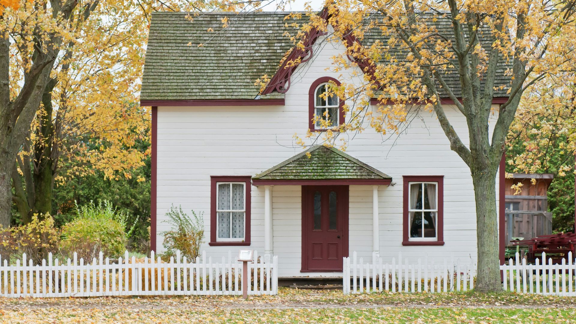 white house under maple trees