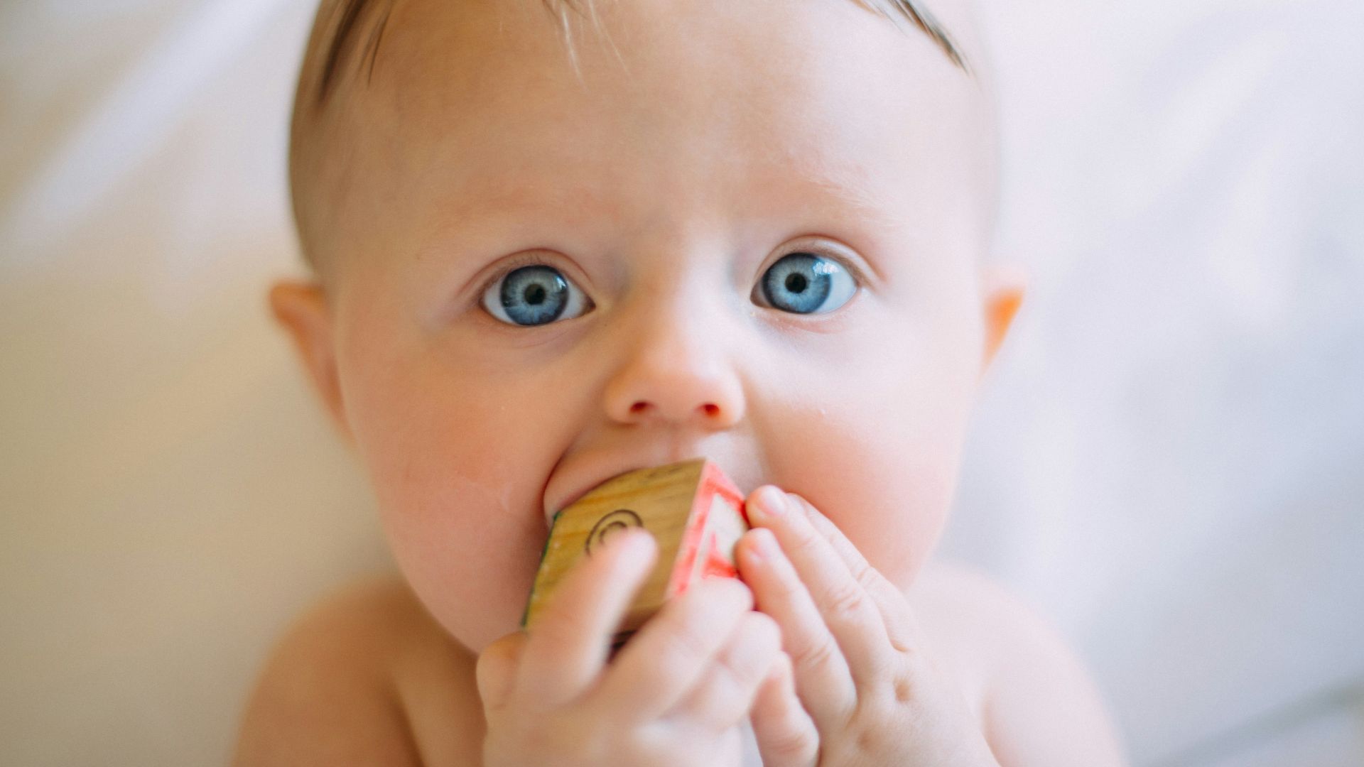 selective focus photography of baby holding wooden cube