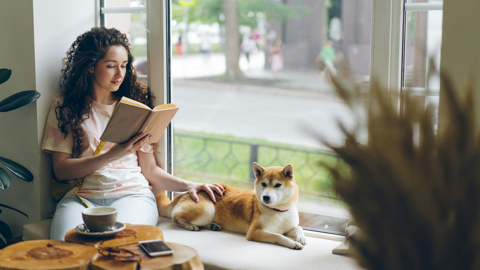 a woman sitting on a window sill reading a book next to a dog
