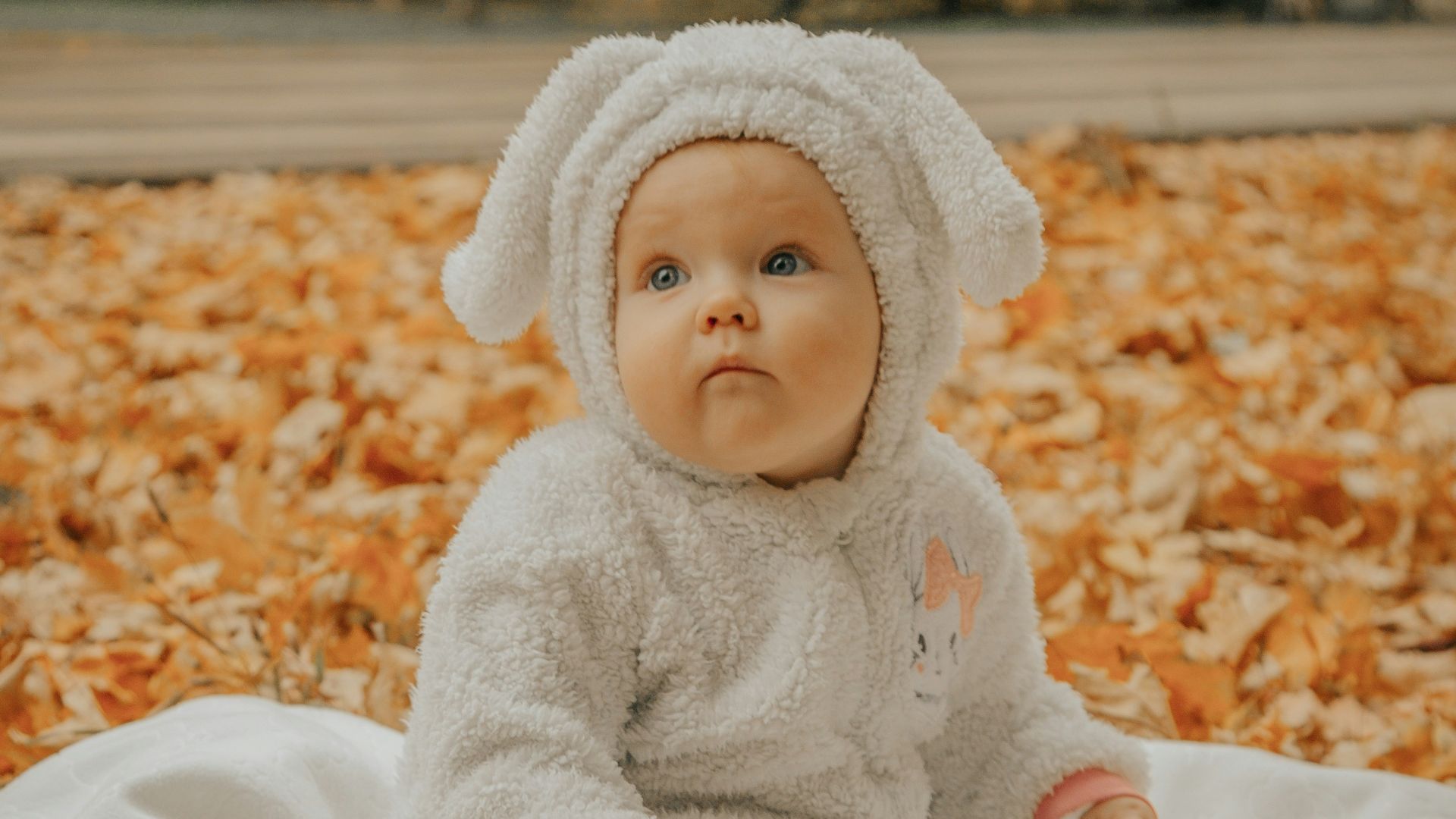 a baby sitting on a blanket surrounded by leaves