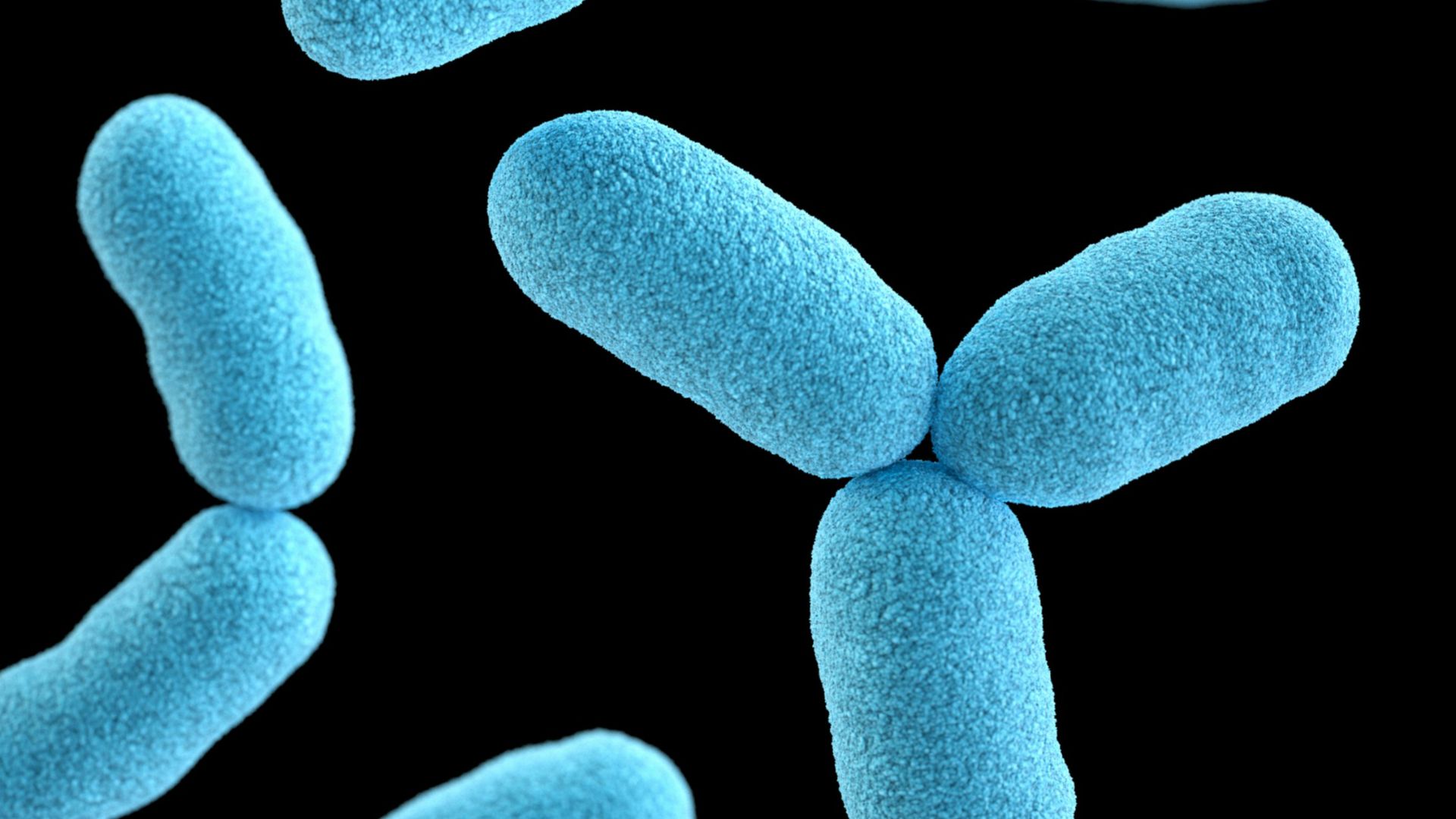 blue heart shaped clip art