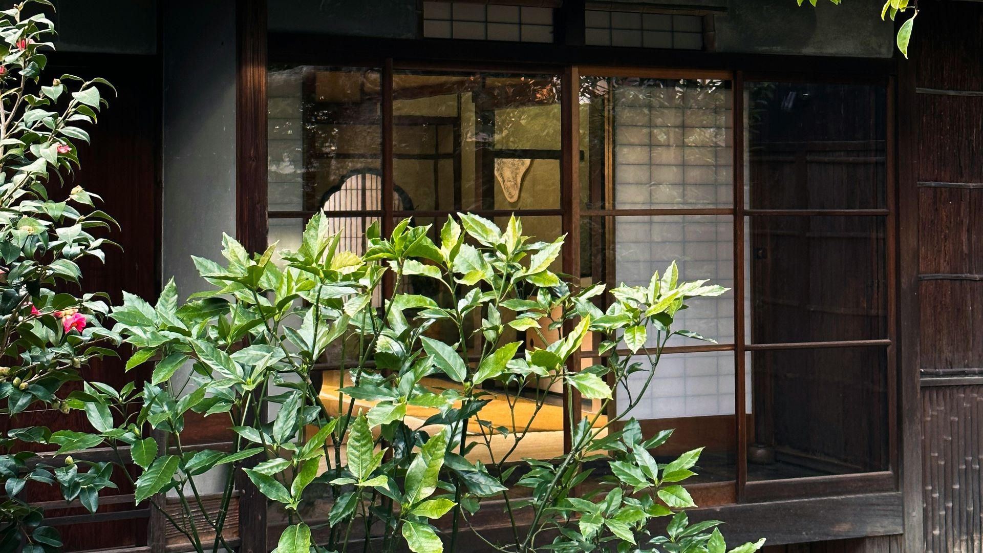 a small building with a tree in front of it