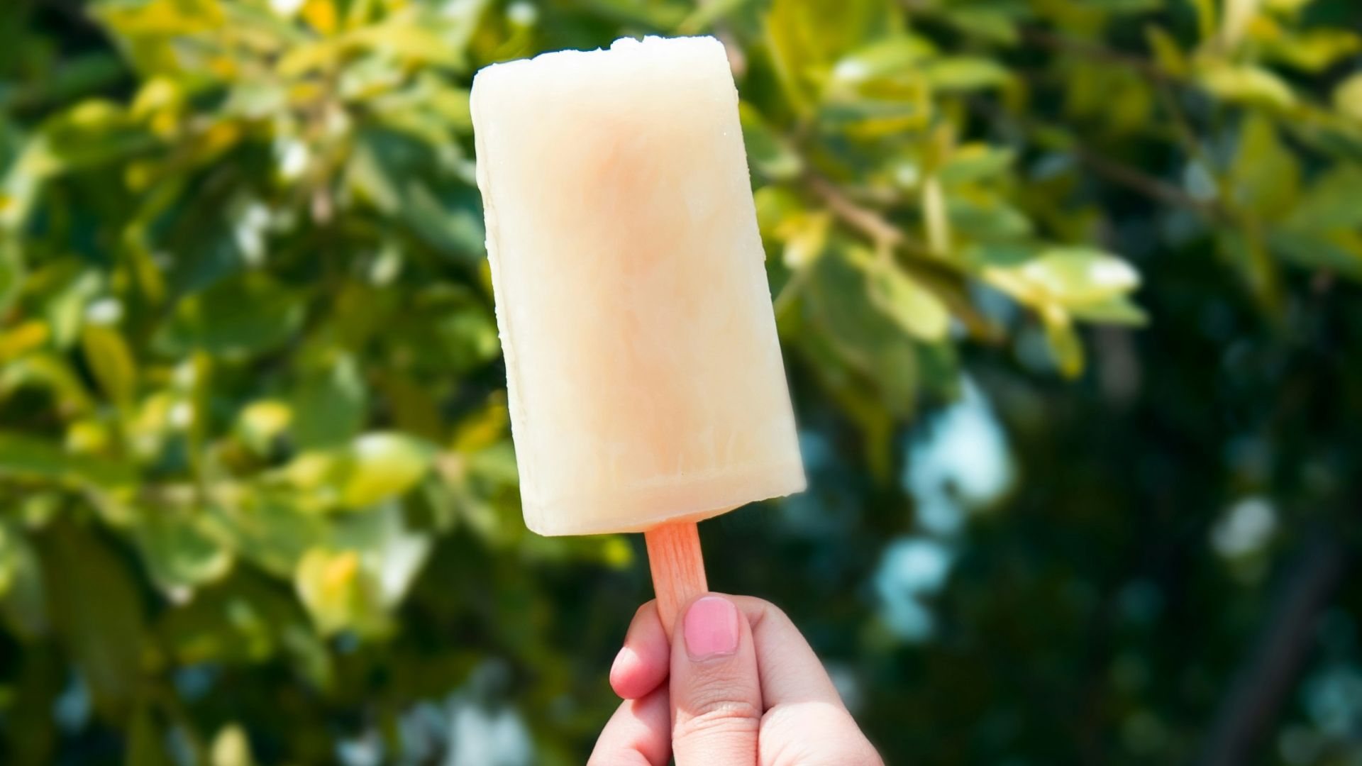 person holding popsicle