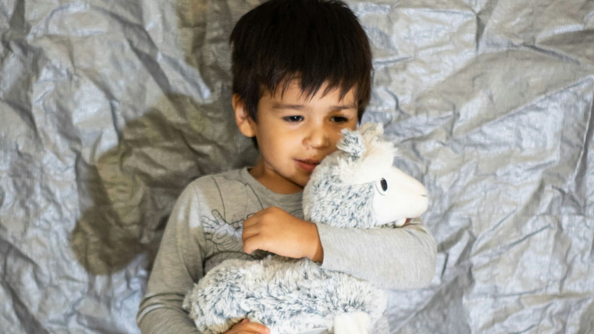 a child holding a stuffed animal