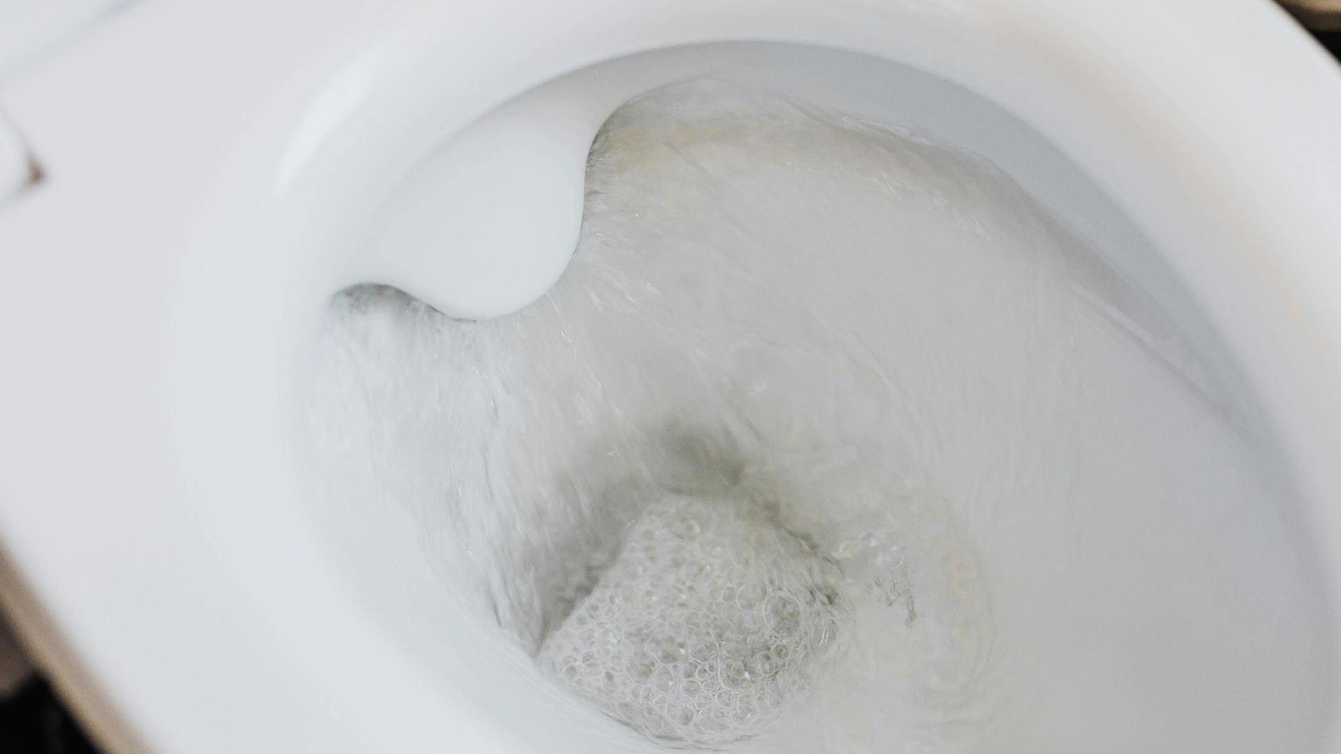 Photo By: Kaboompics.com