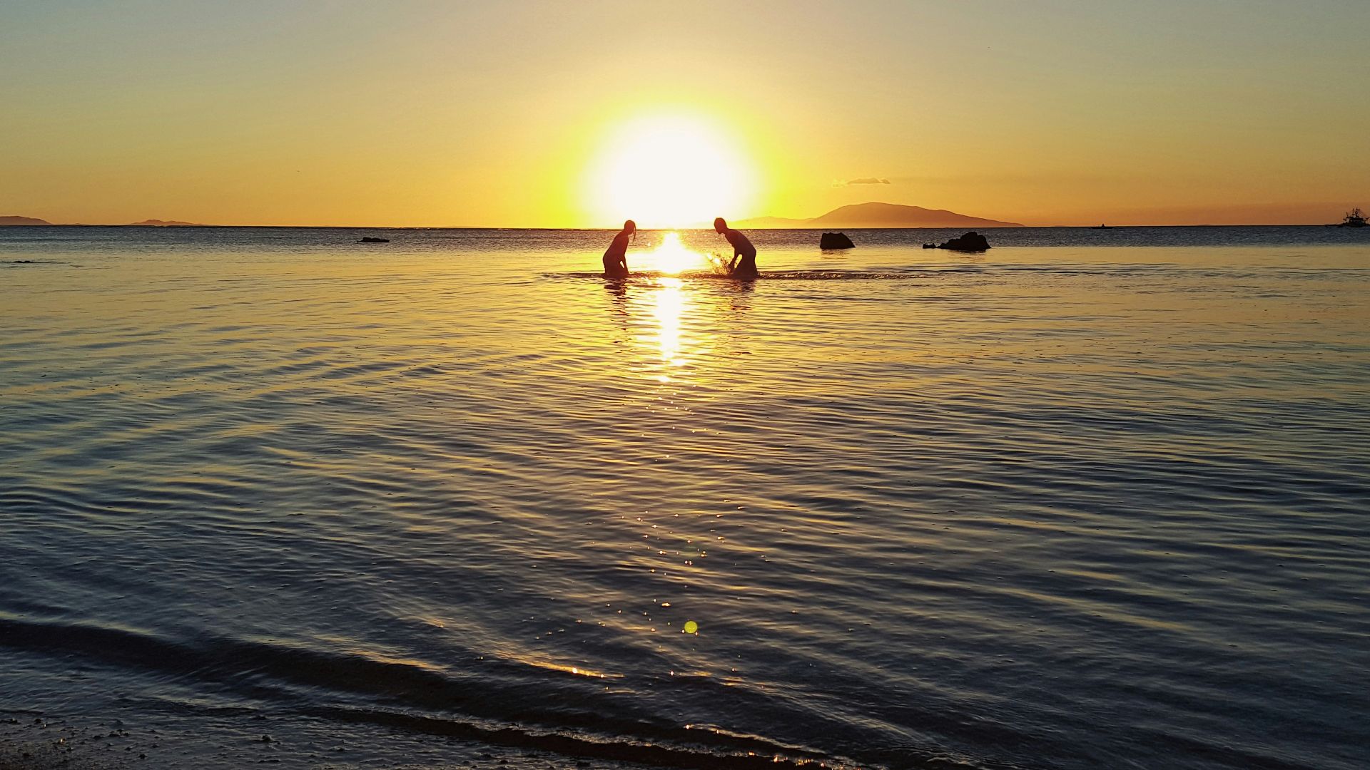 a couple of people on surfboards in the water
