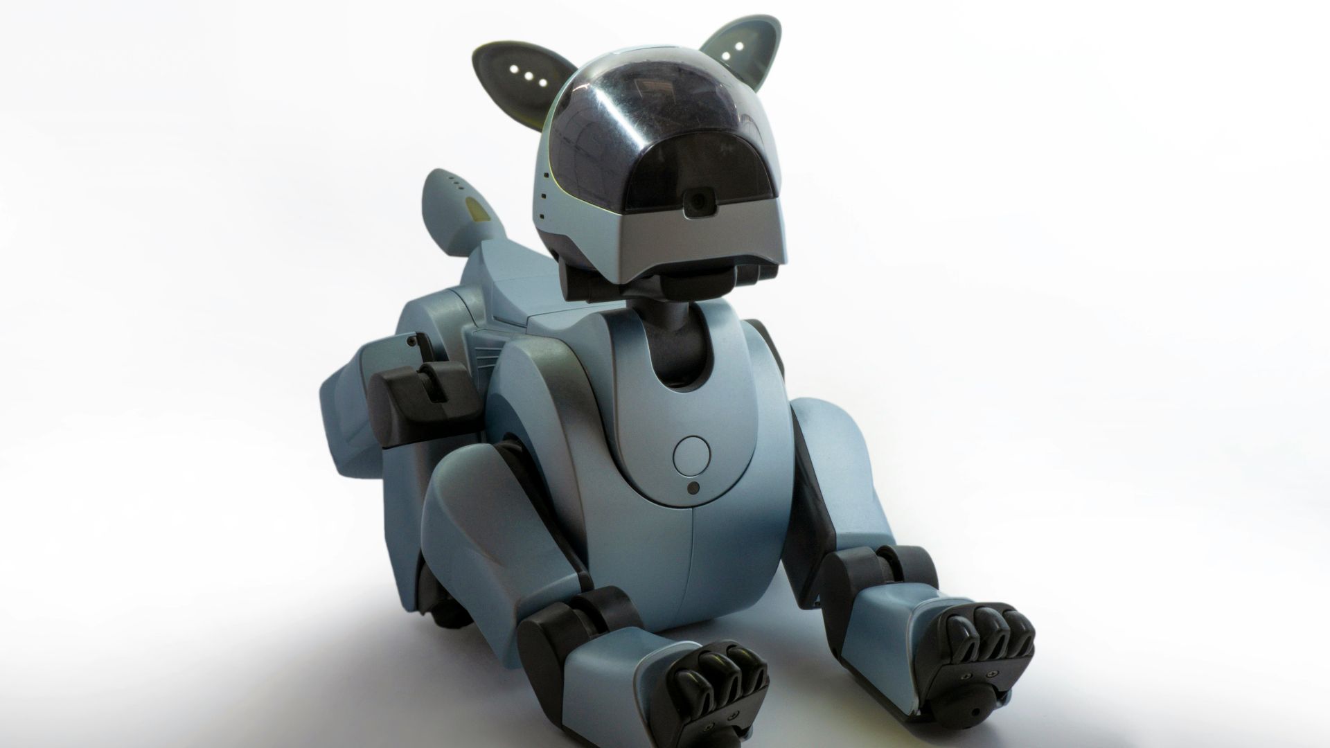 brown dog robot toy