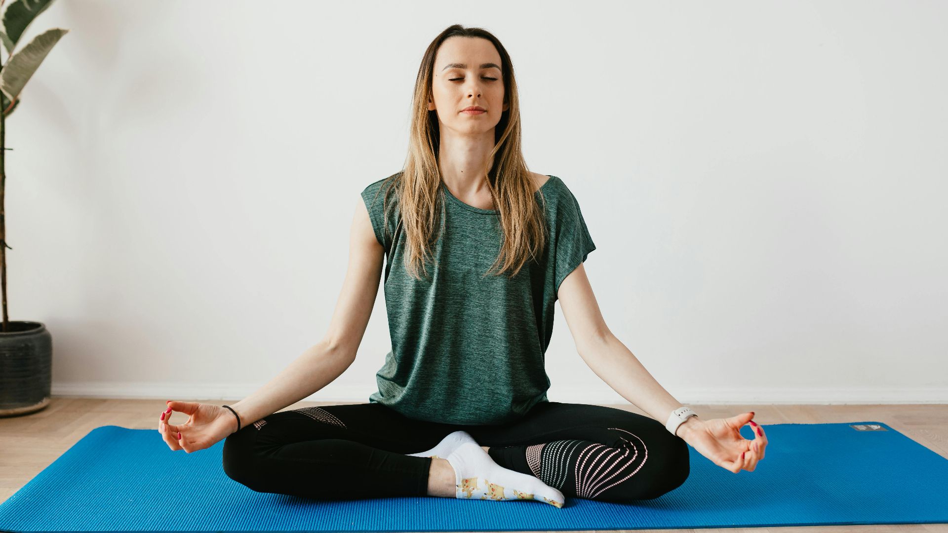 Photo By: Kaboompics.com