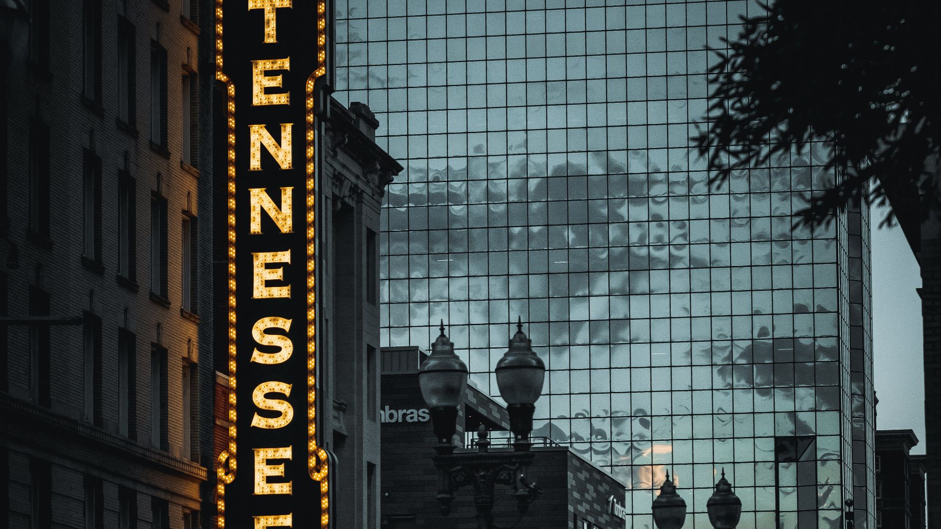 people walking on pedestrian lane during daytime