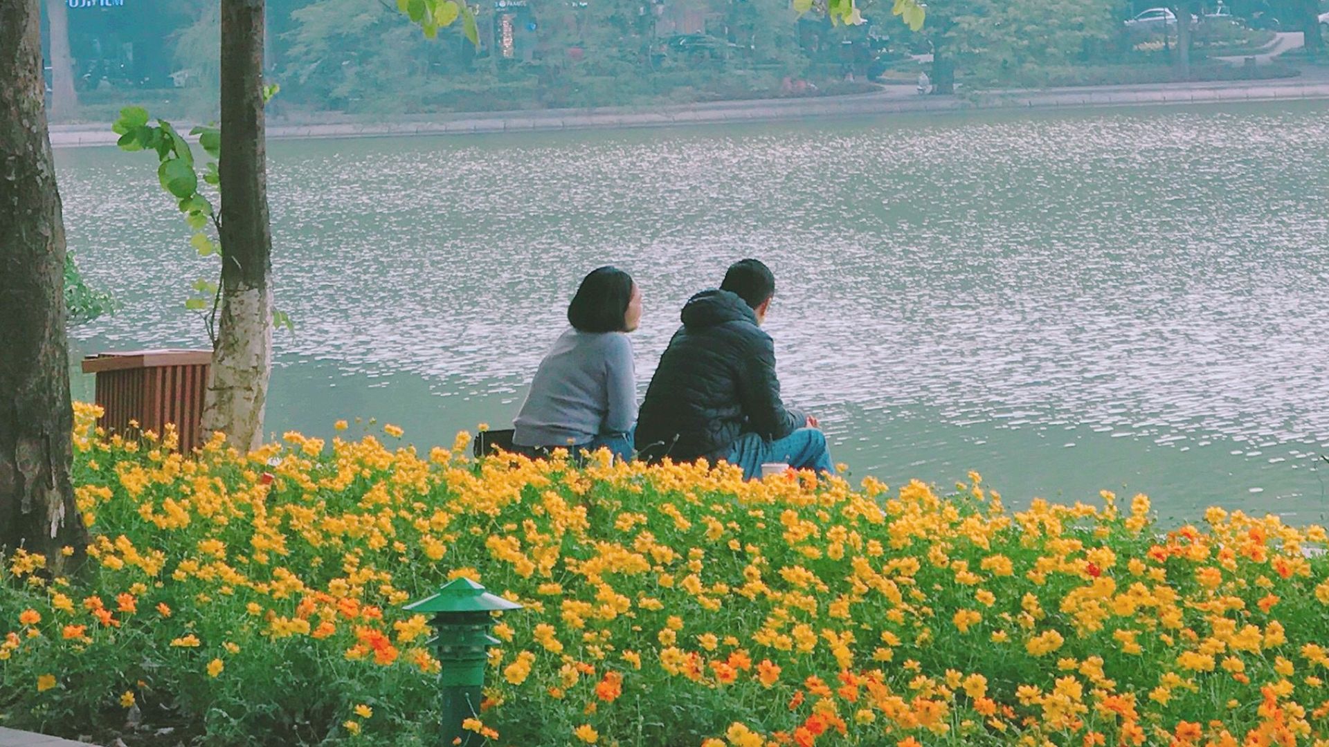 people sitting on bench near body of water during daytime