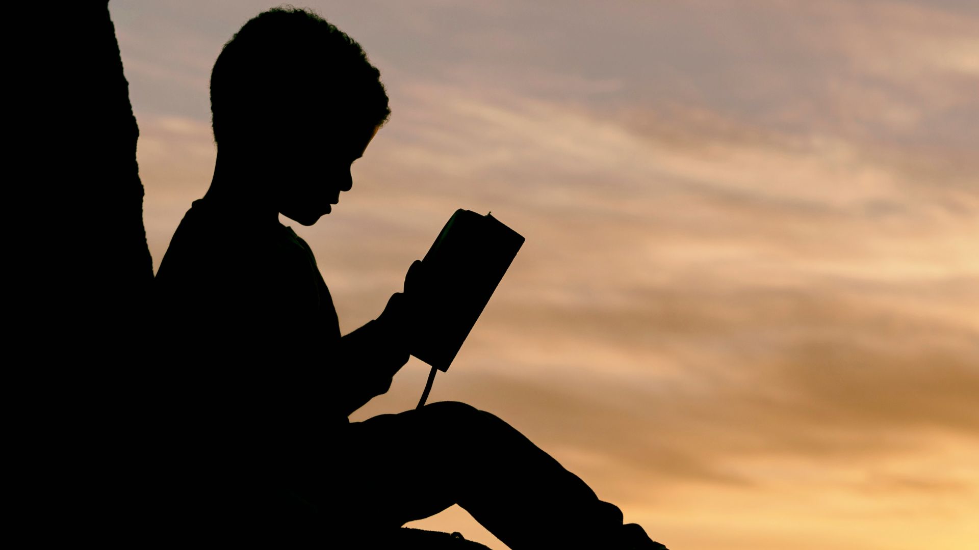 silhouette of child sitting behind tree during sunset