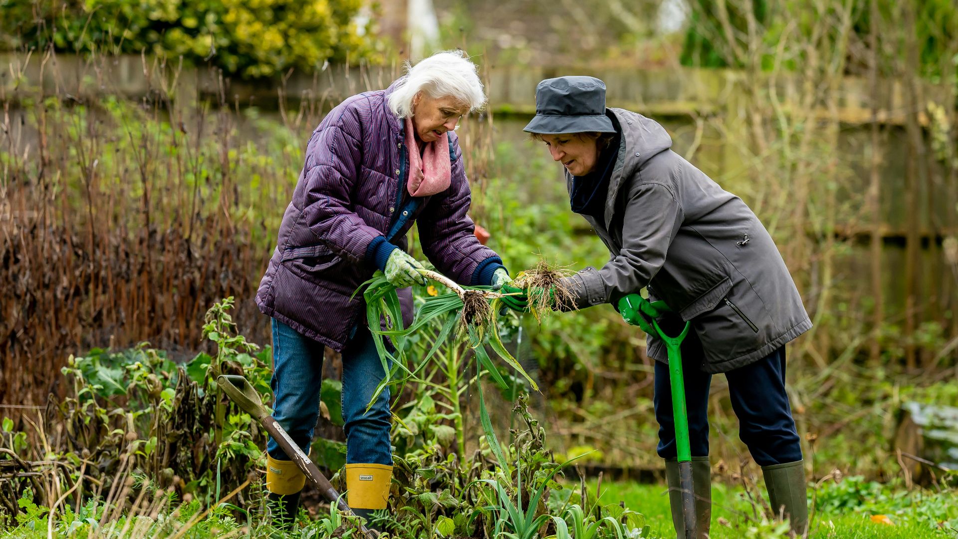 Centre for Ageing Better