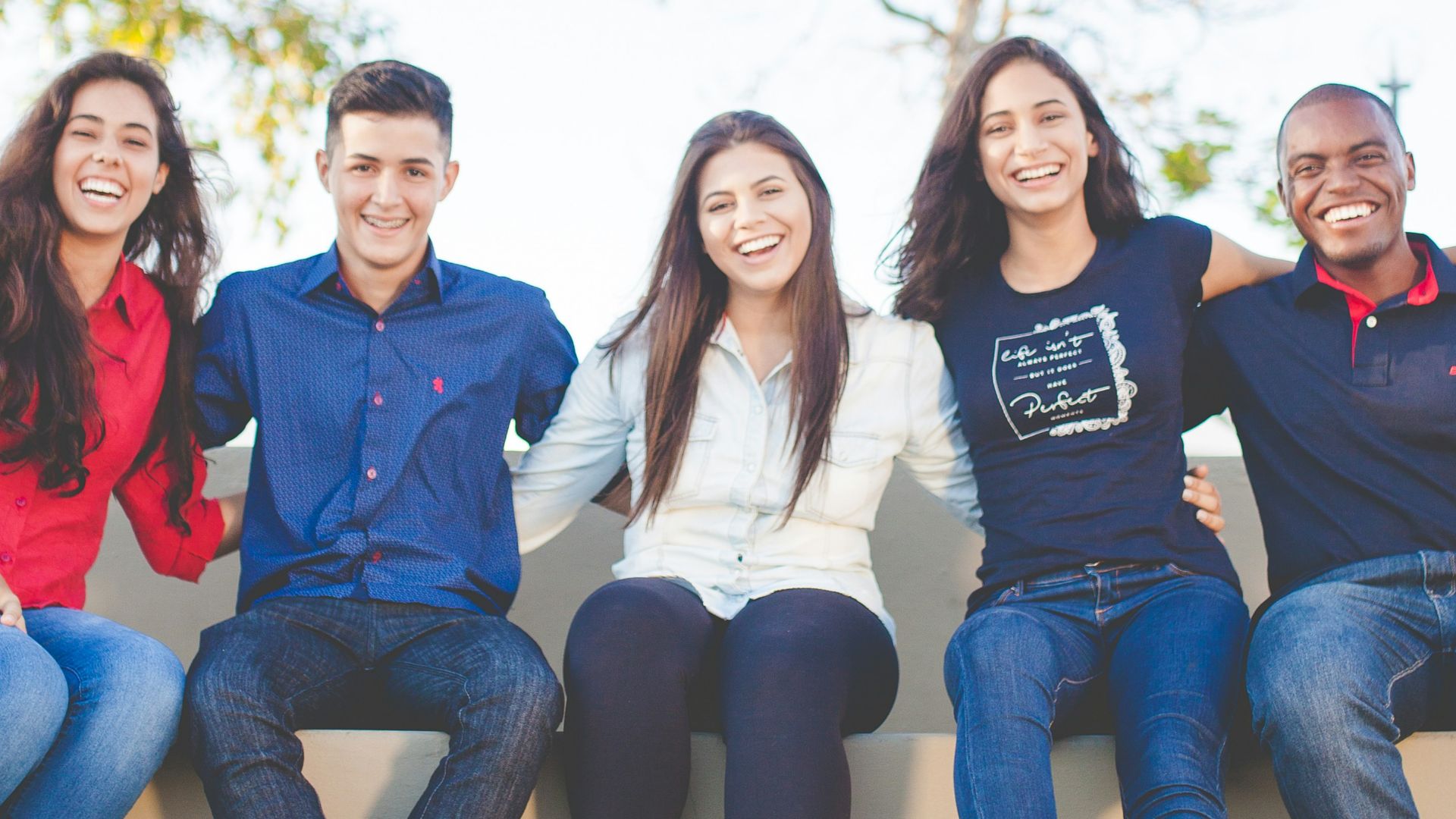 group of people sitting on bench near trees duting daytime