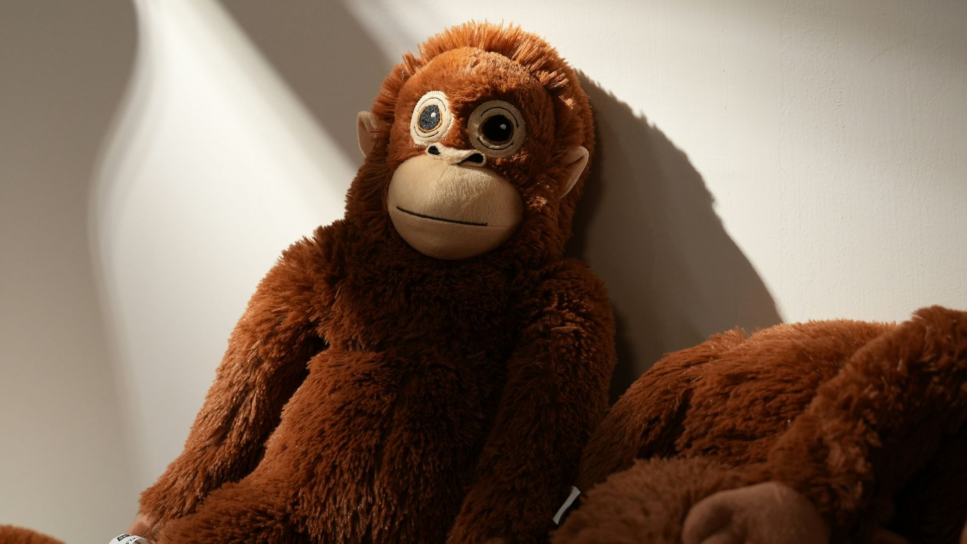 A group of stuffed animals sitting next to each other