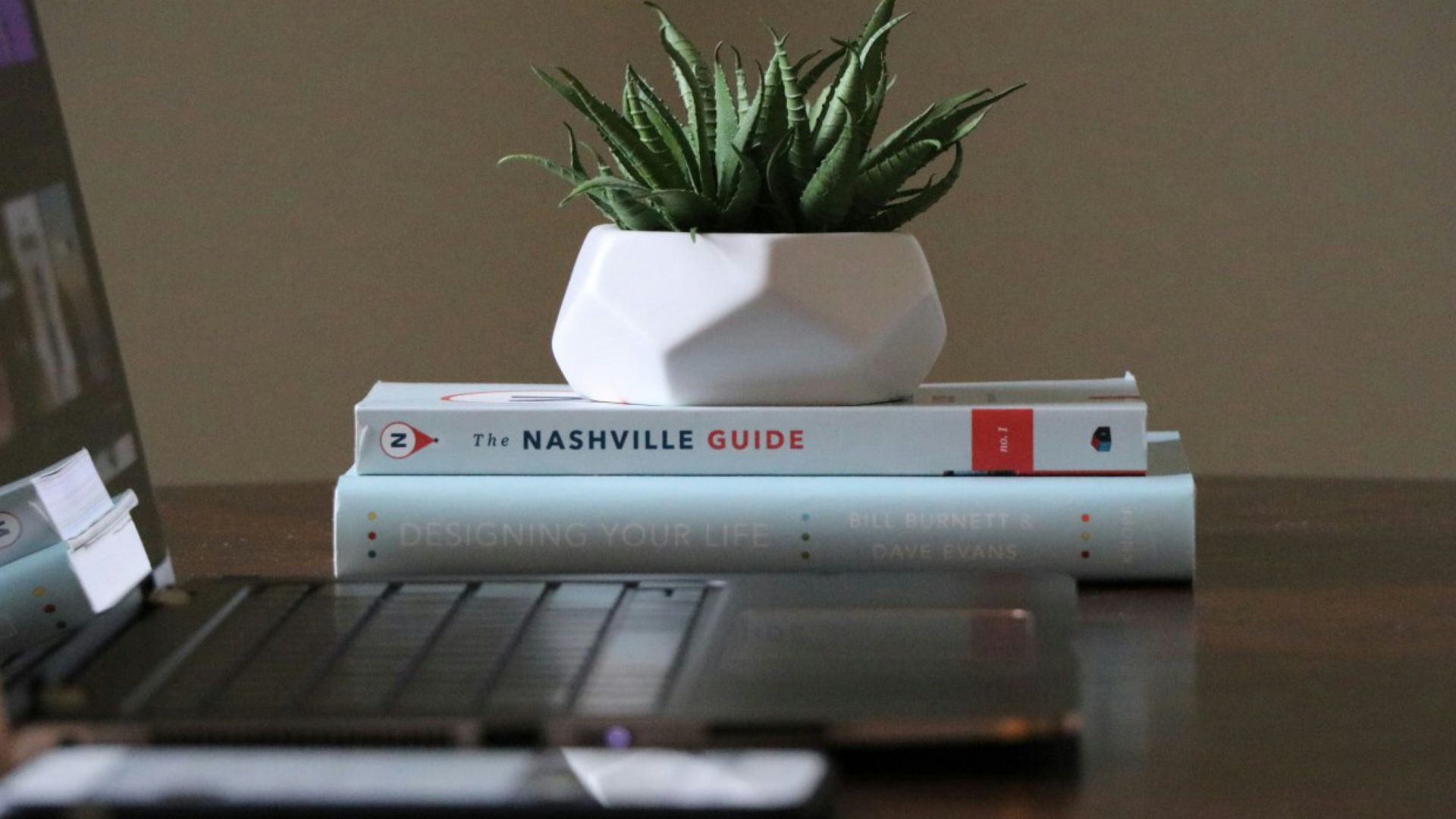 selective focus photography of plant placed on two books