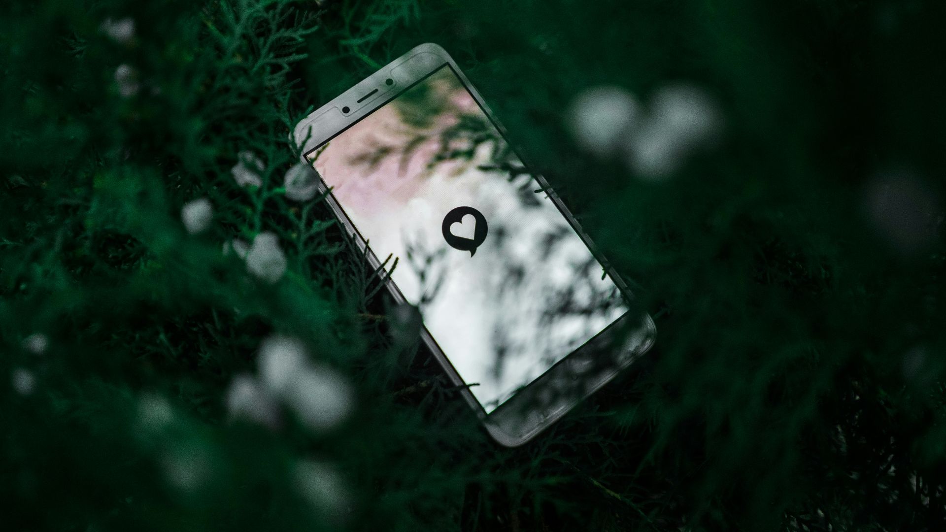 white Android smartphone near green plant