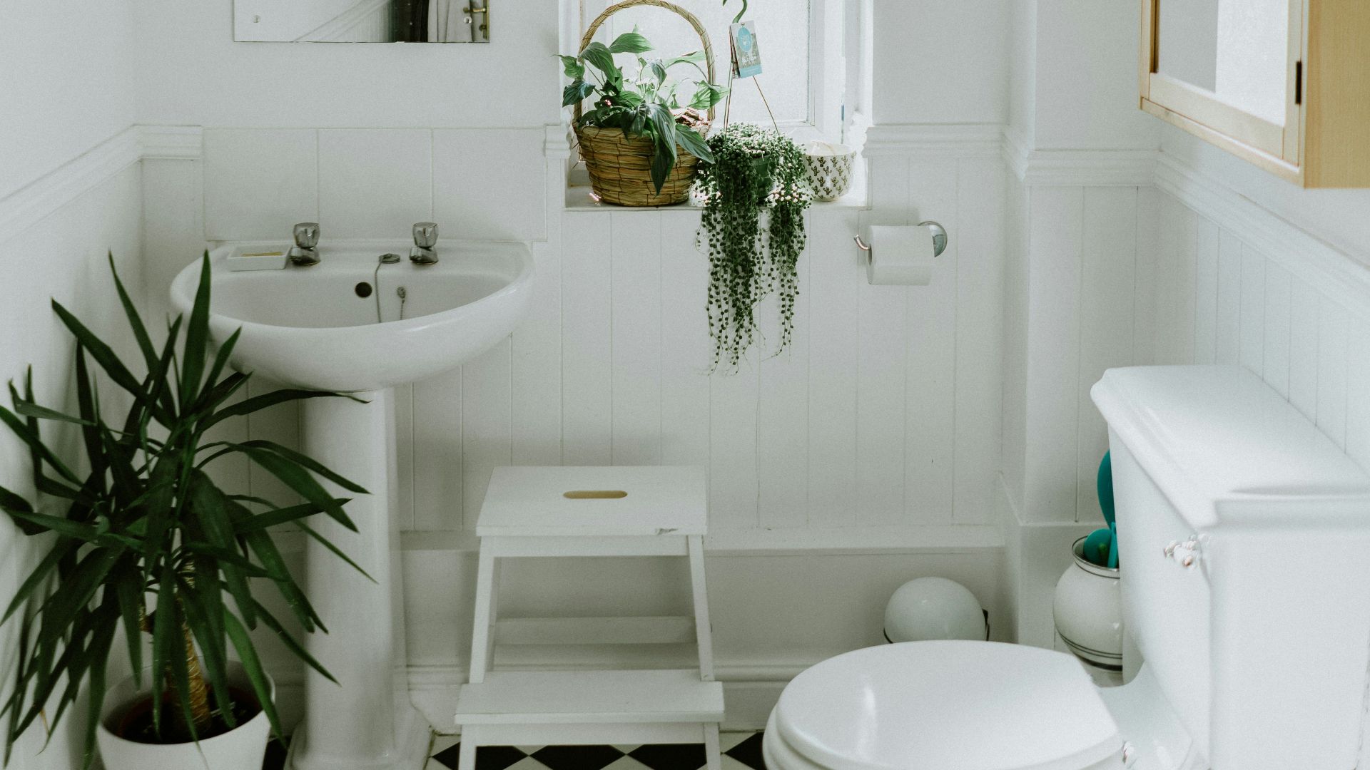 white ceramic pedestal sink