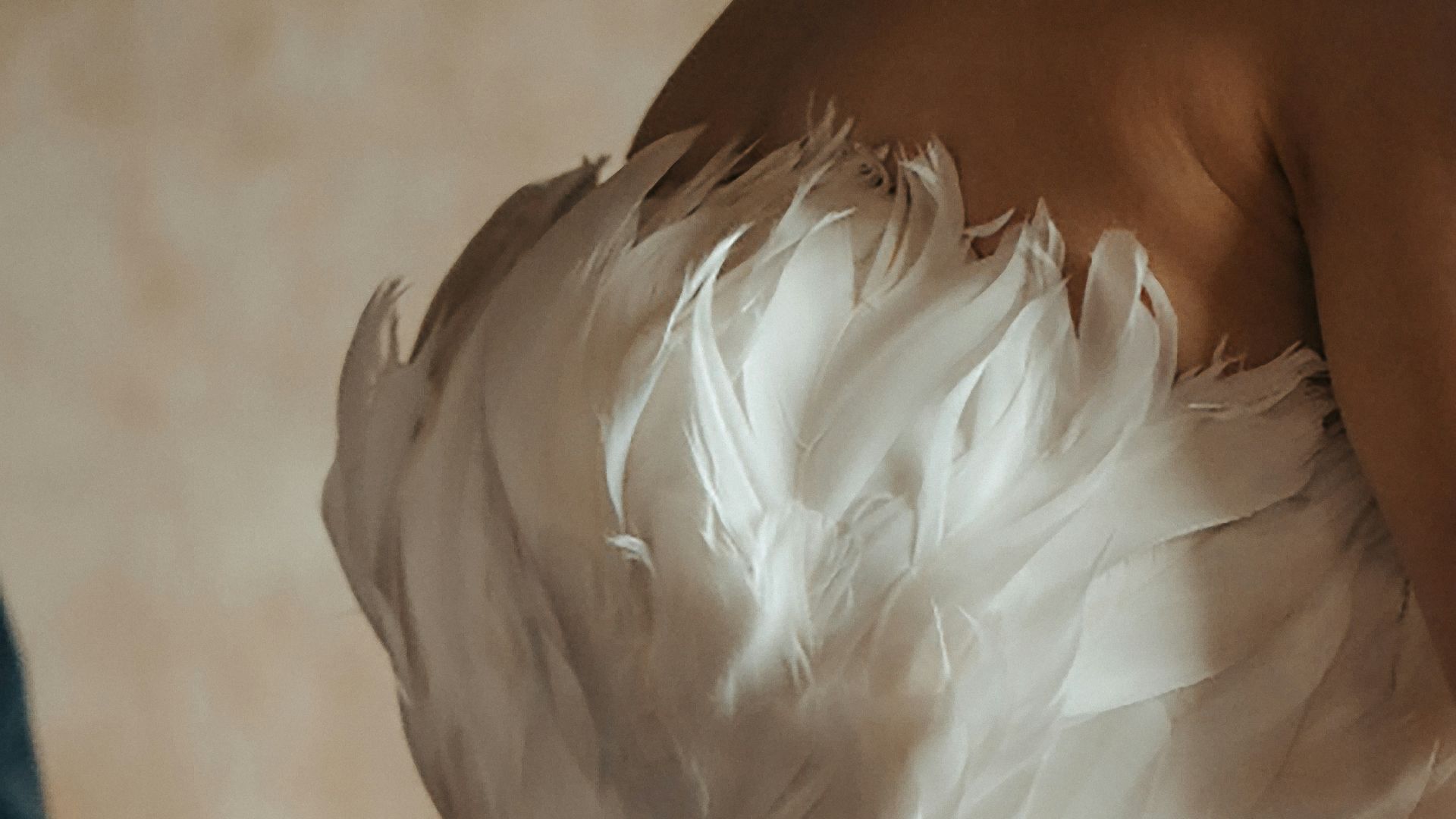 person holding white feather during daytime