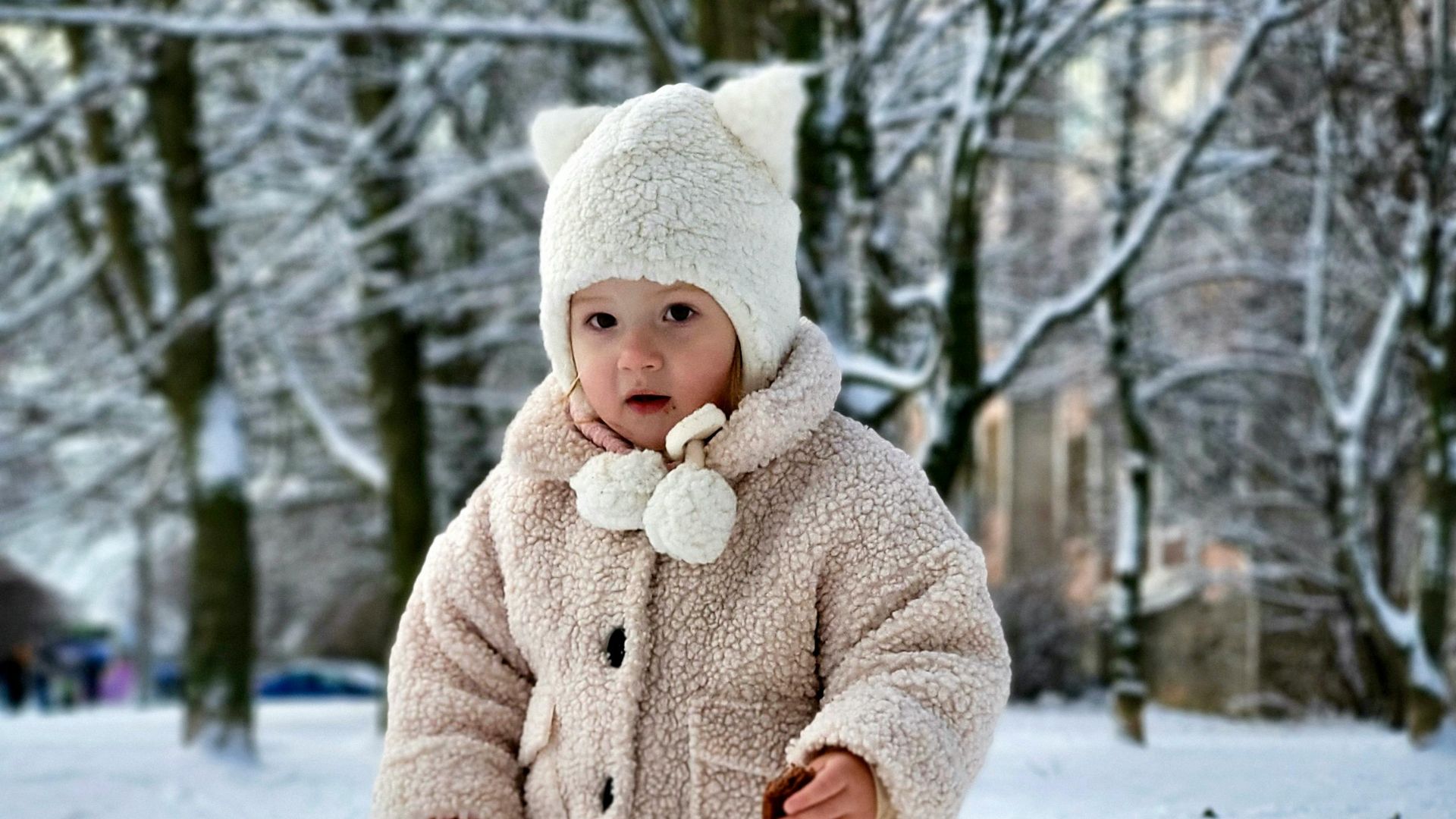 Коледа Дмитрий