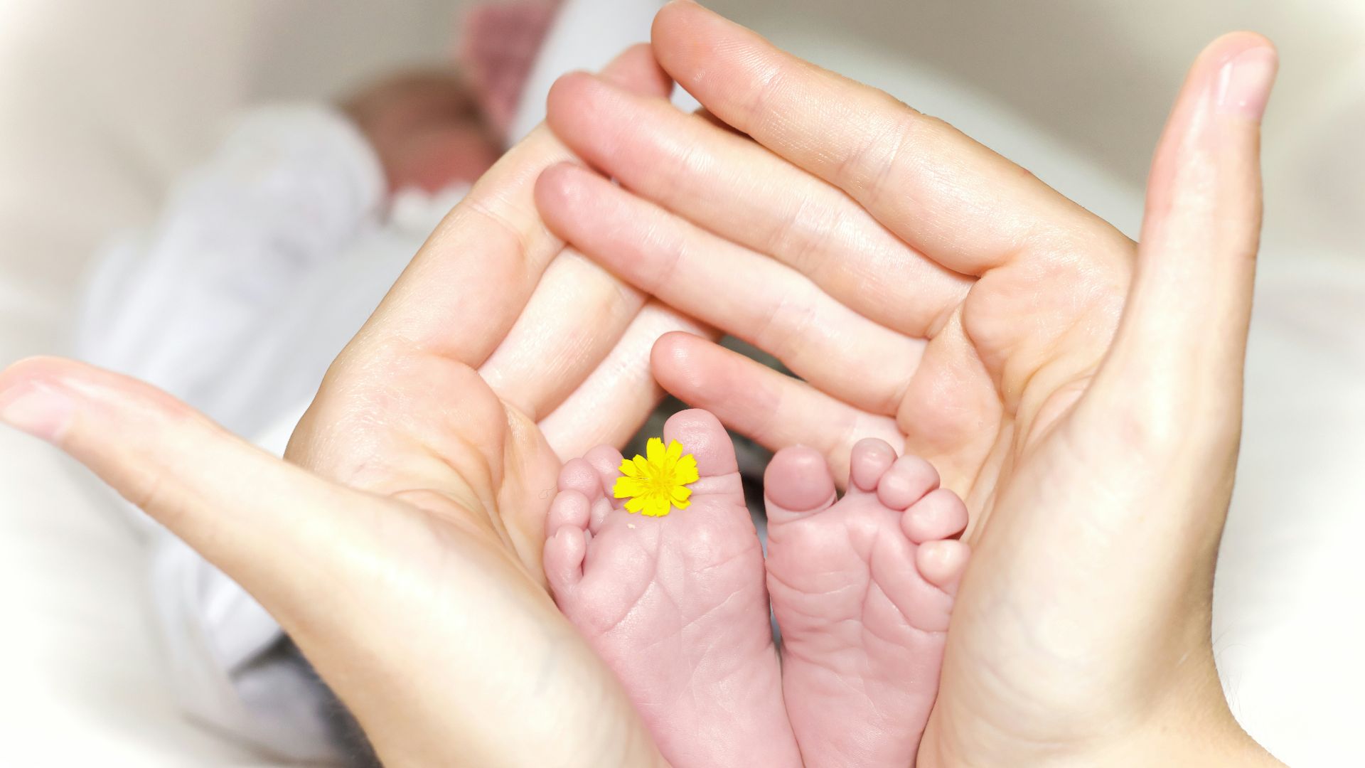 person holding baby's toe with yellow petaled flower in between