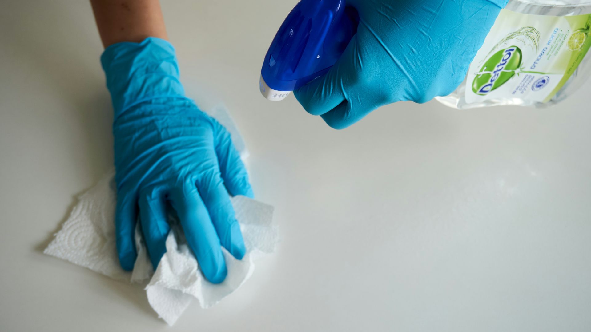 person in blue gloves holding white textile