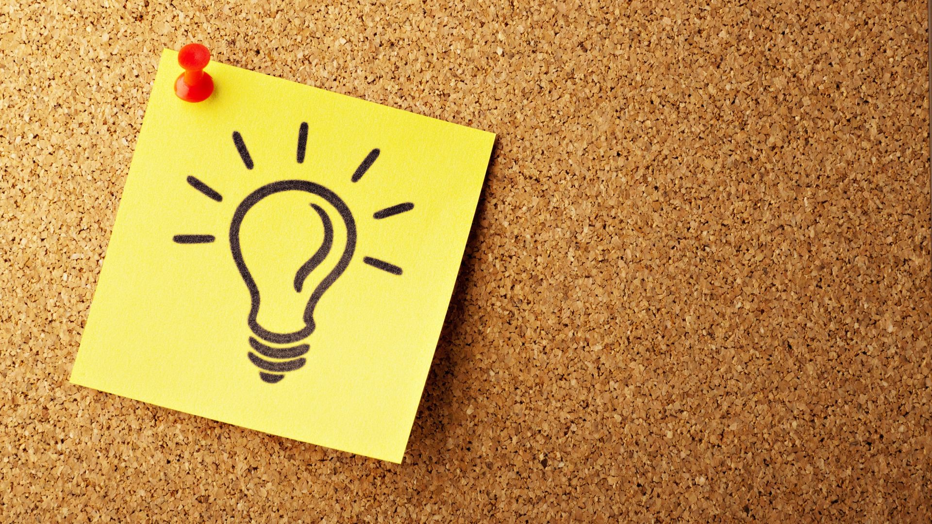 photo of bulb artwork