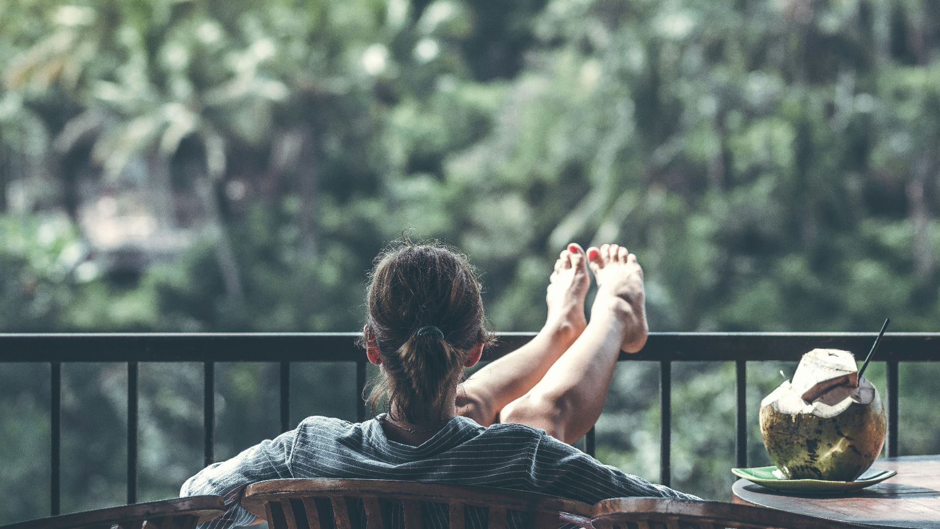 person sitting on chair in front of tree