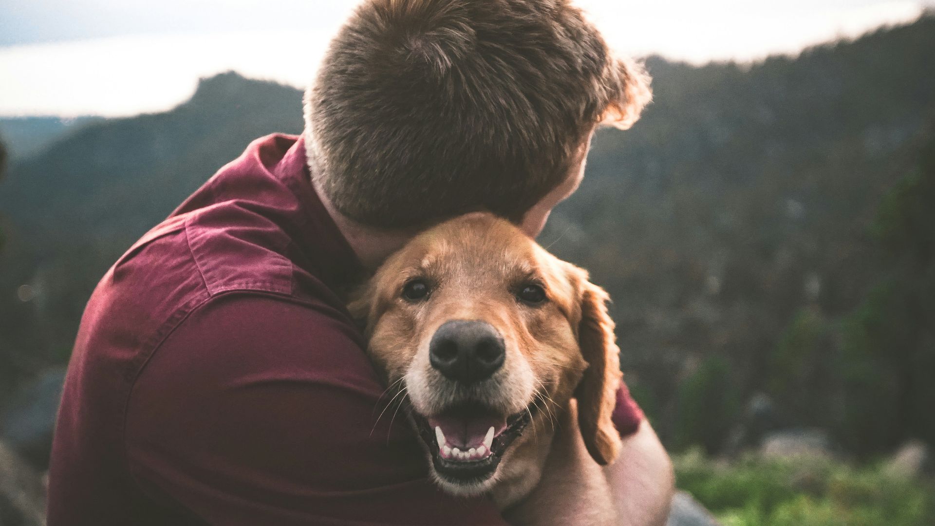 photo of man hugging tan dog