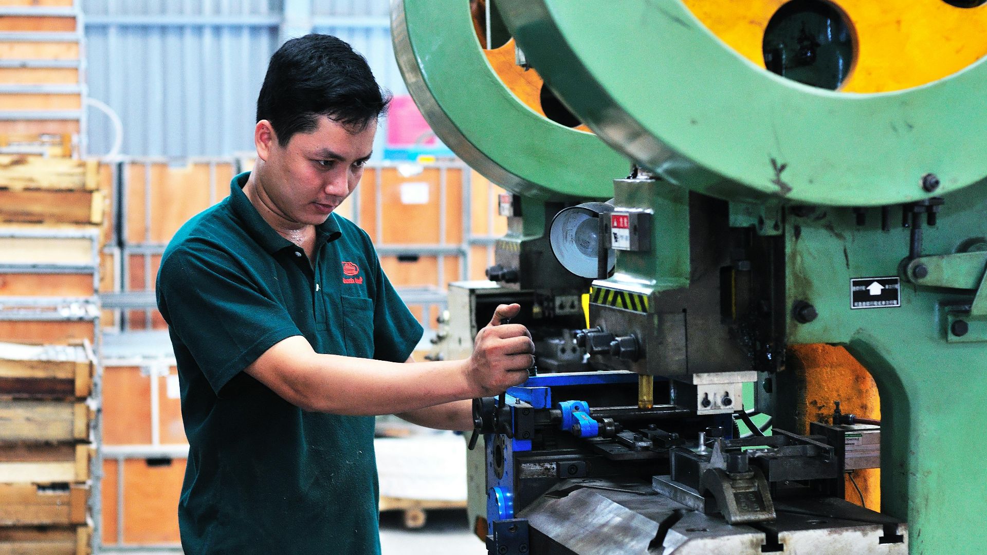 Cọ Sơn Thanh Bình