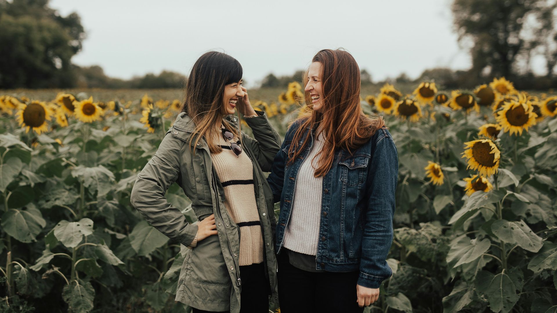 two women near yellow sunflowers
