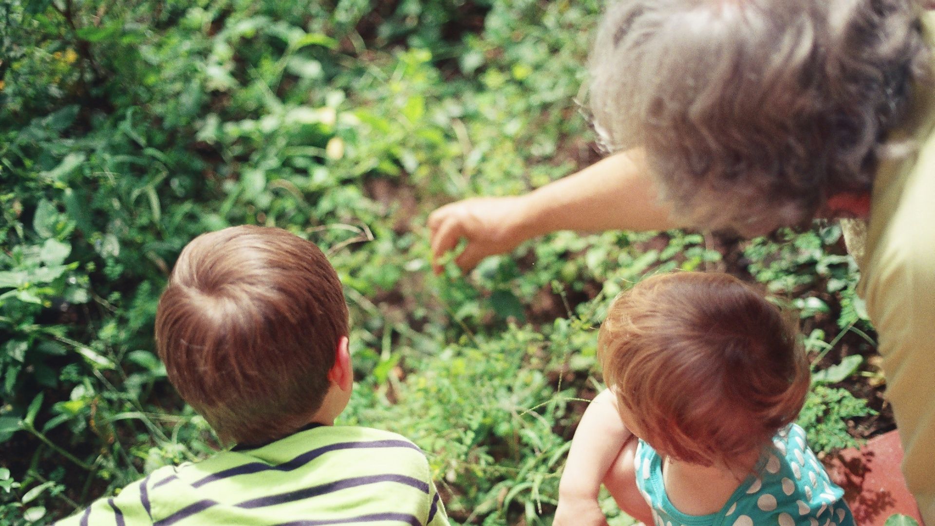 woman playing with two children in the woods