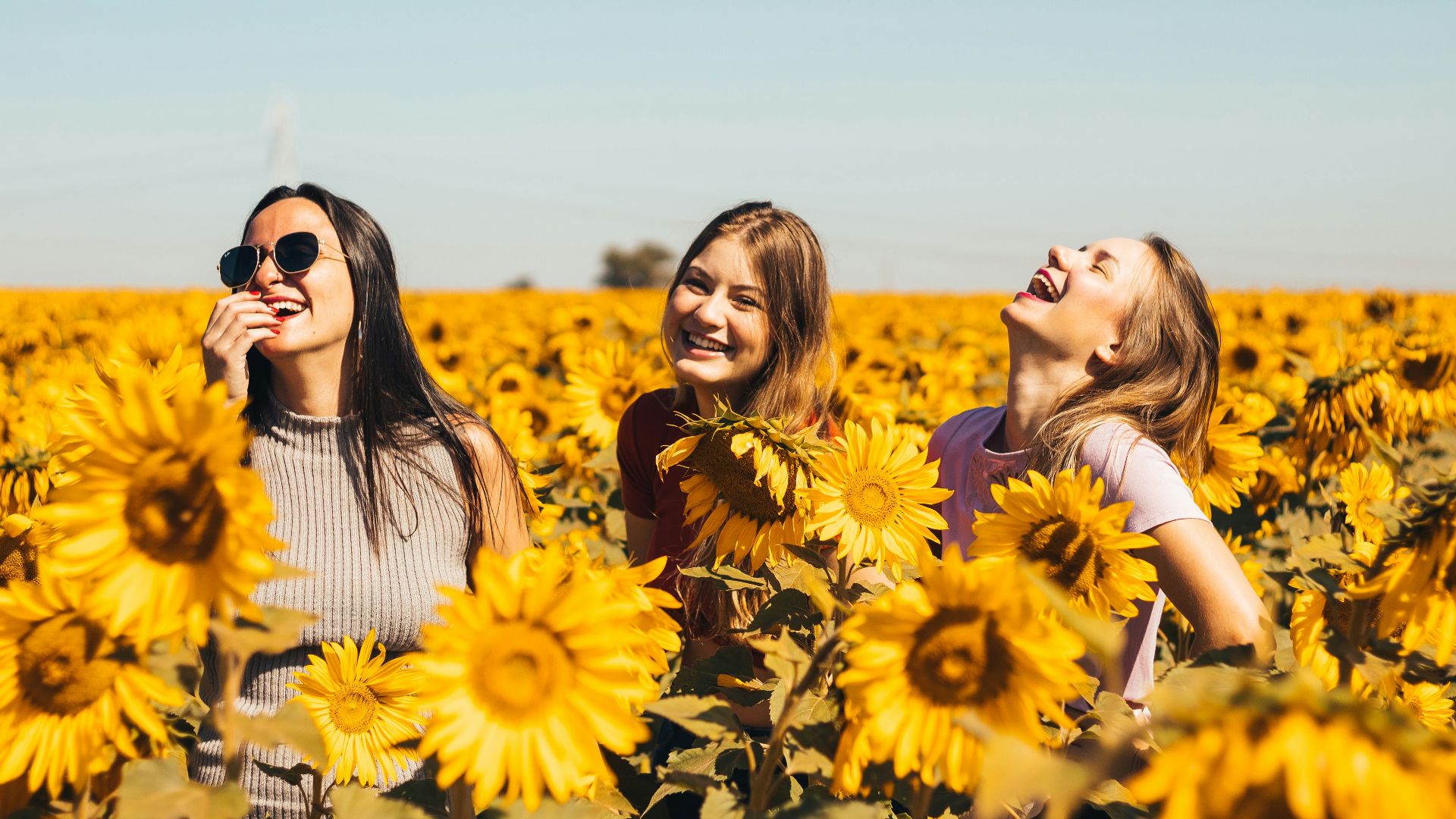 woman in white and black striped shirt standing on yellow sunflower field during daytime