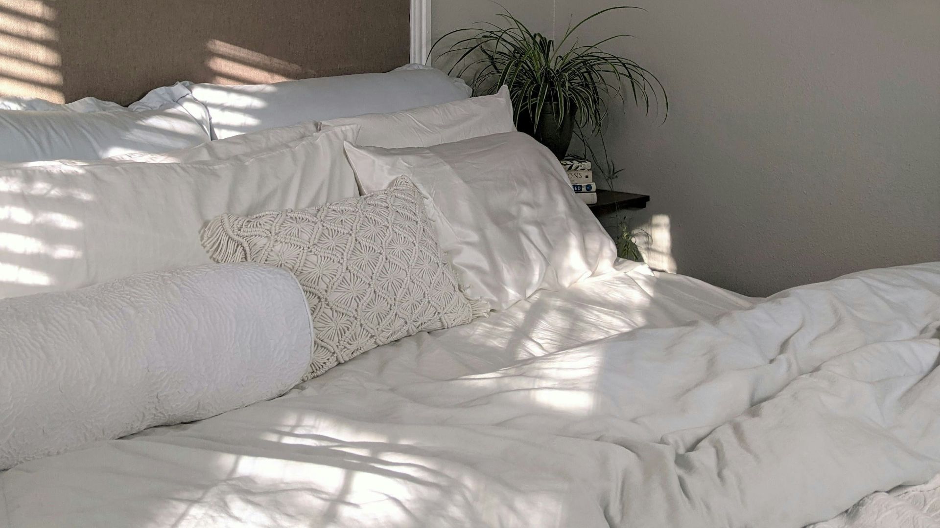 white bed linen near green plant