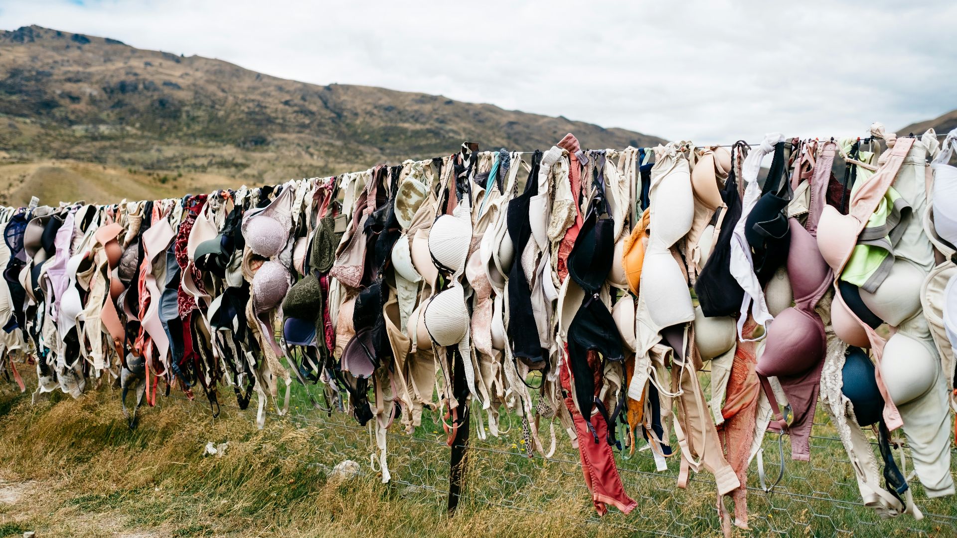assorted bras hanged on wire